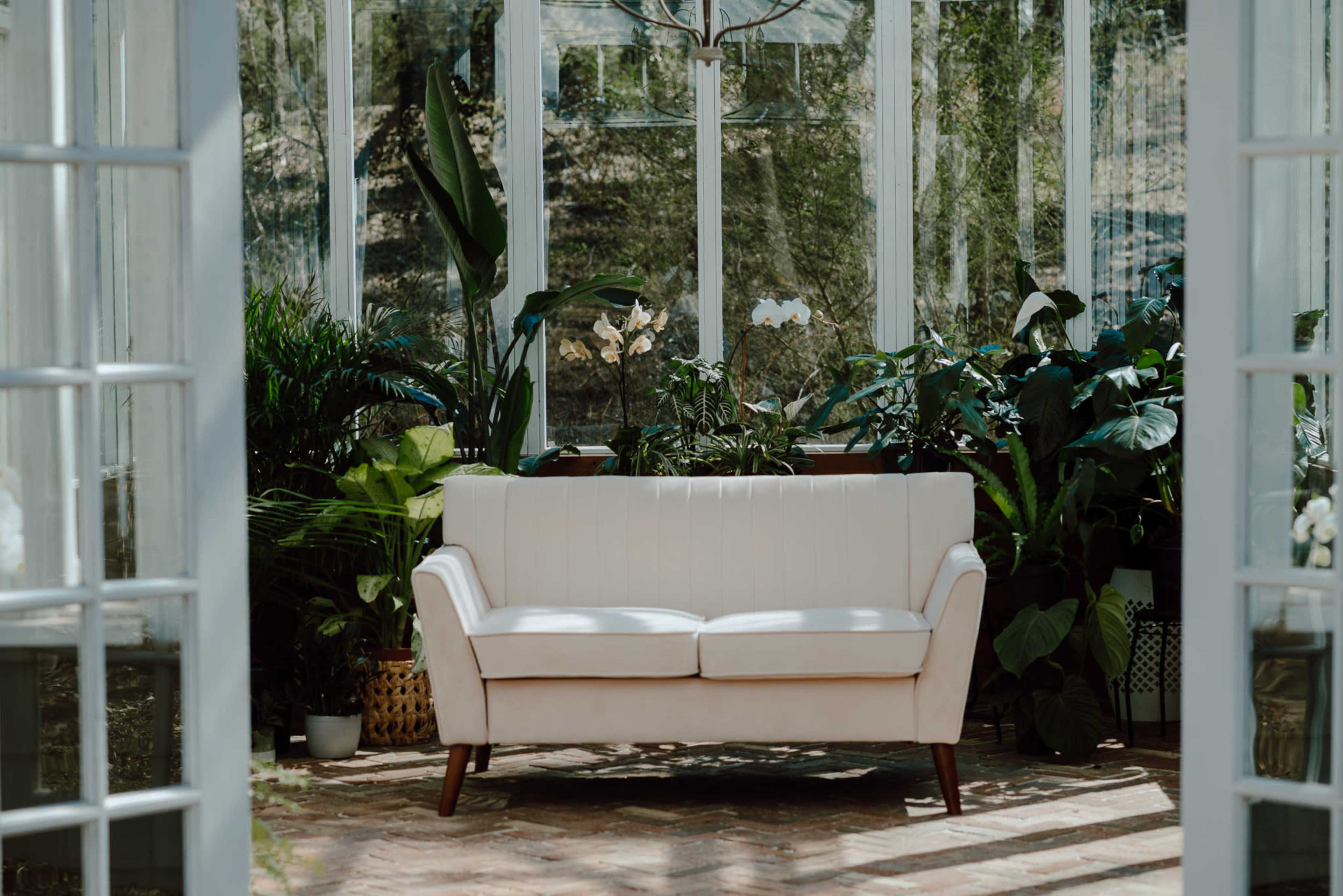A white sofa is positioned in a sunlit greenhouse surrounded by various indoor plants.