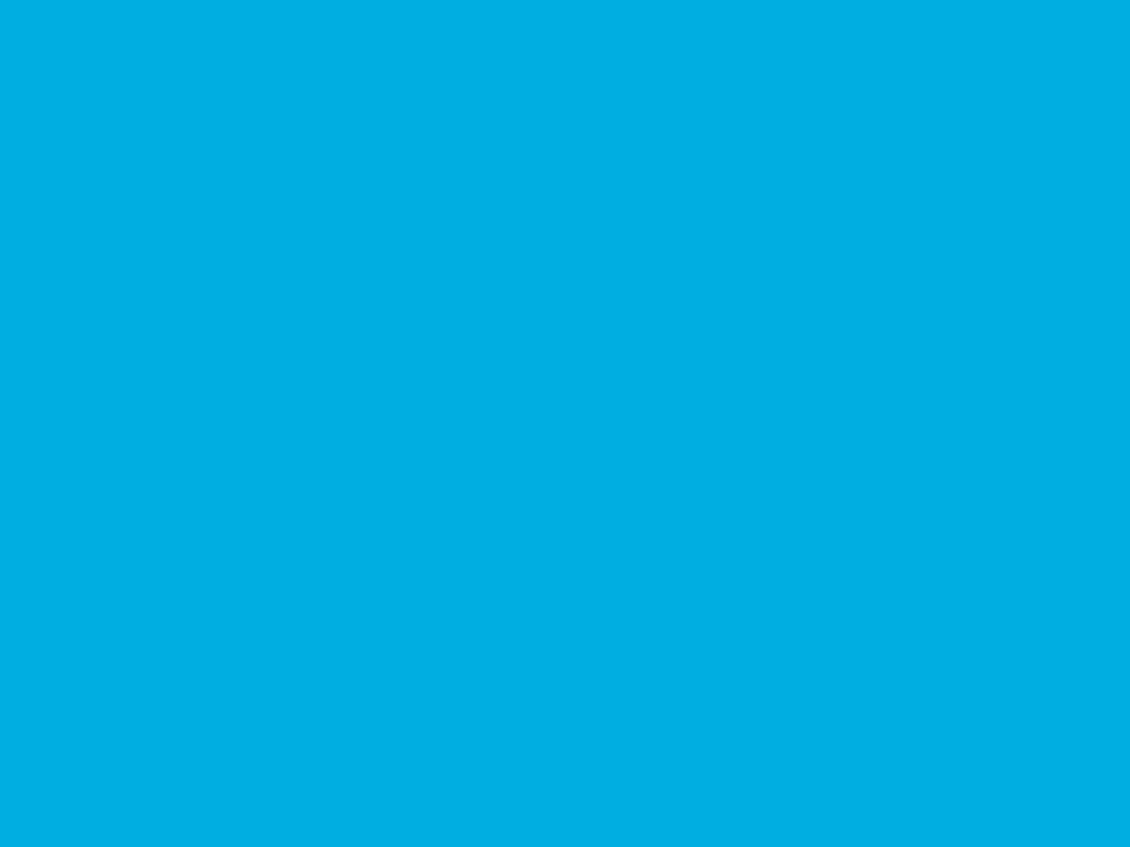 107" Seamless Paper BLUE JAY (Savage #31)