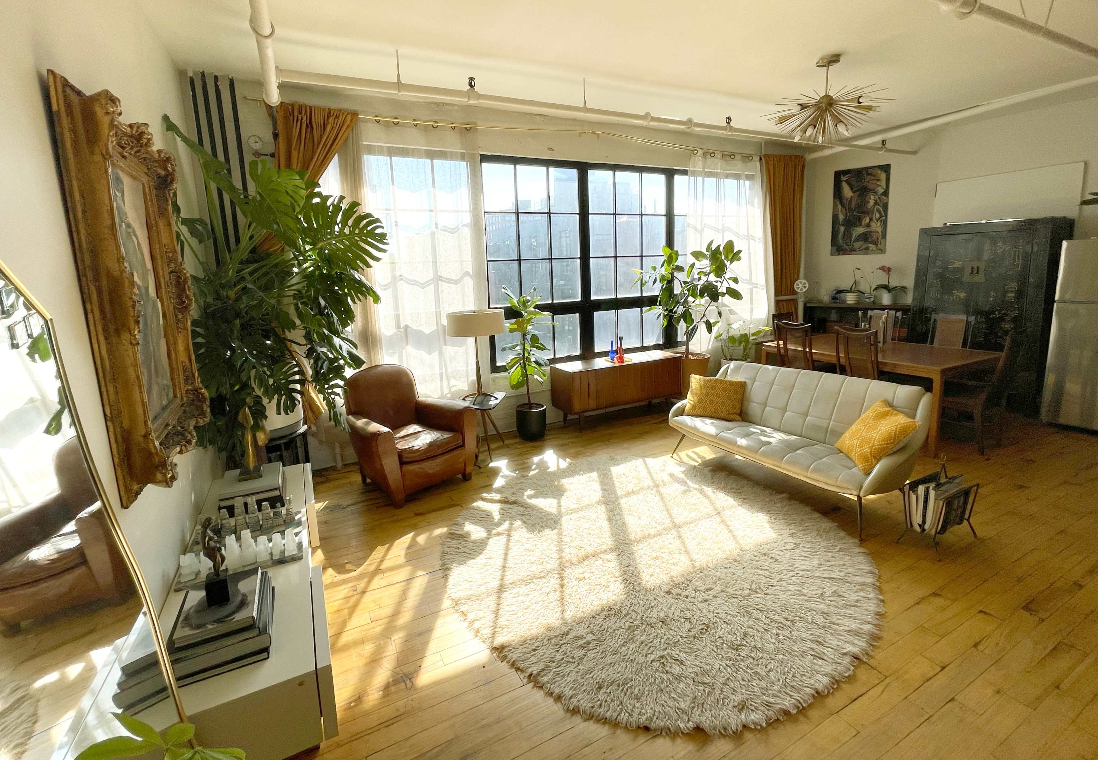 A bright, contemporary living room with large windows, a beige sofa, a round rug, and several indoor plants.