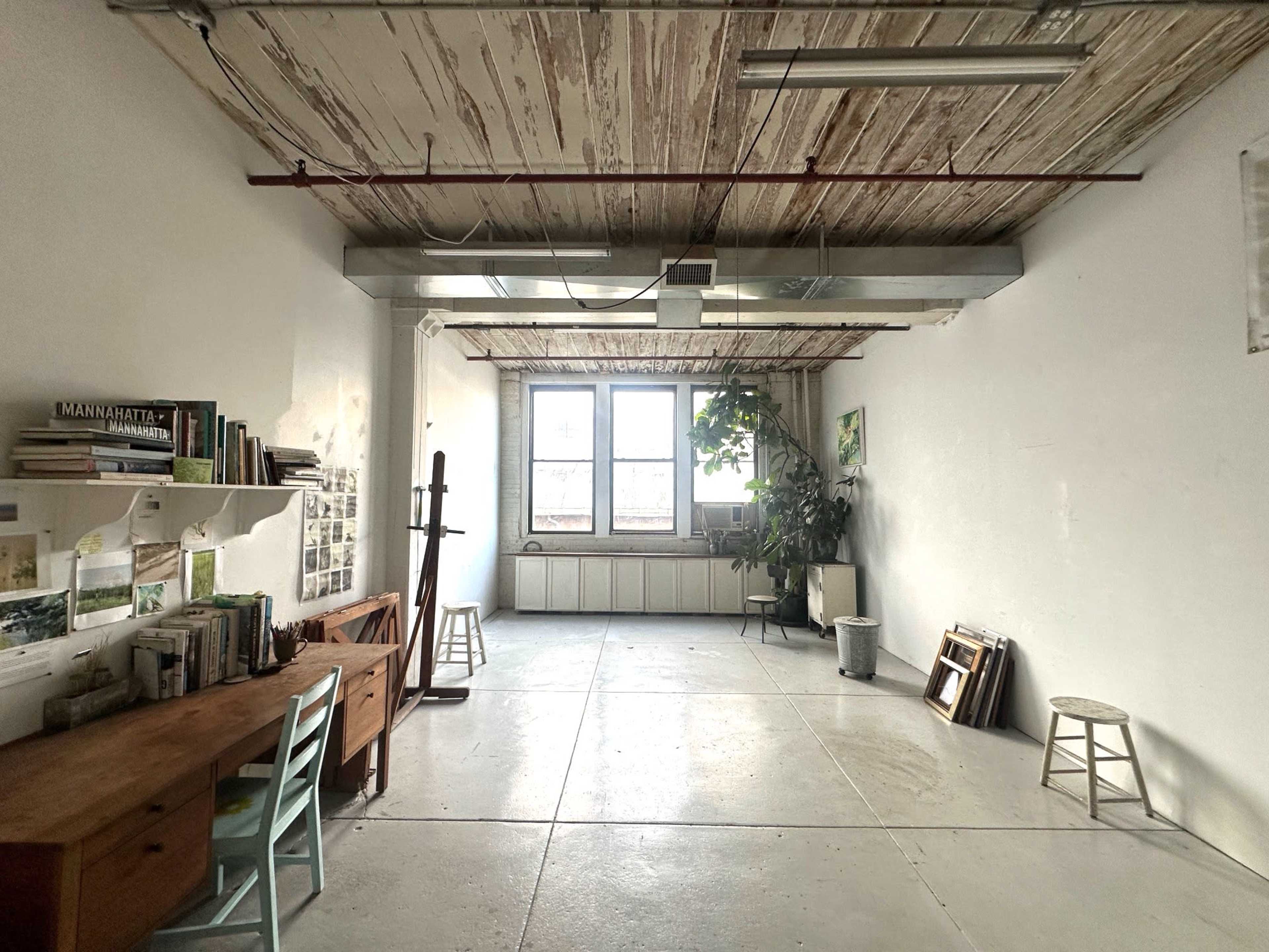 Peaceful North Lit Studio Image in Sunset Park, Brooklyn, NY