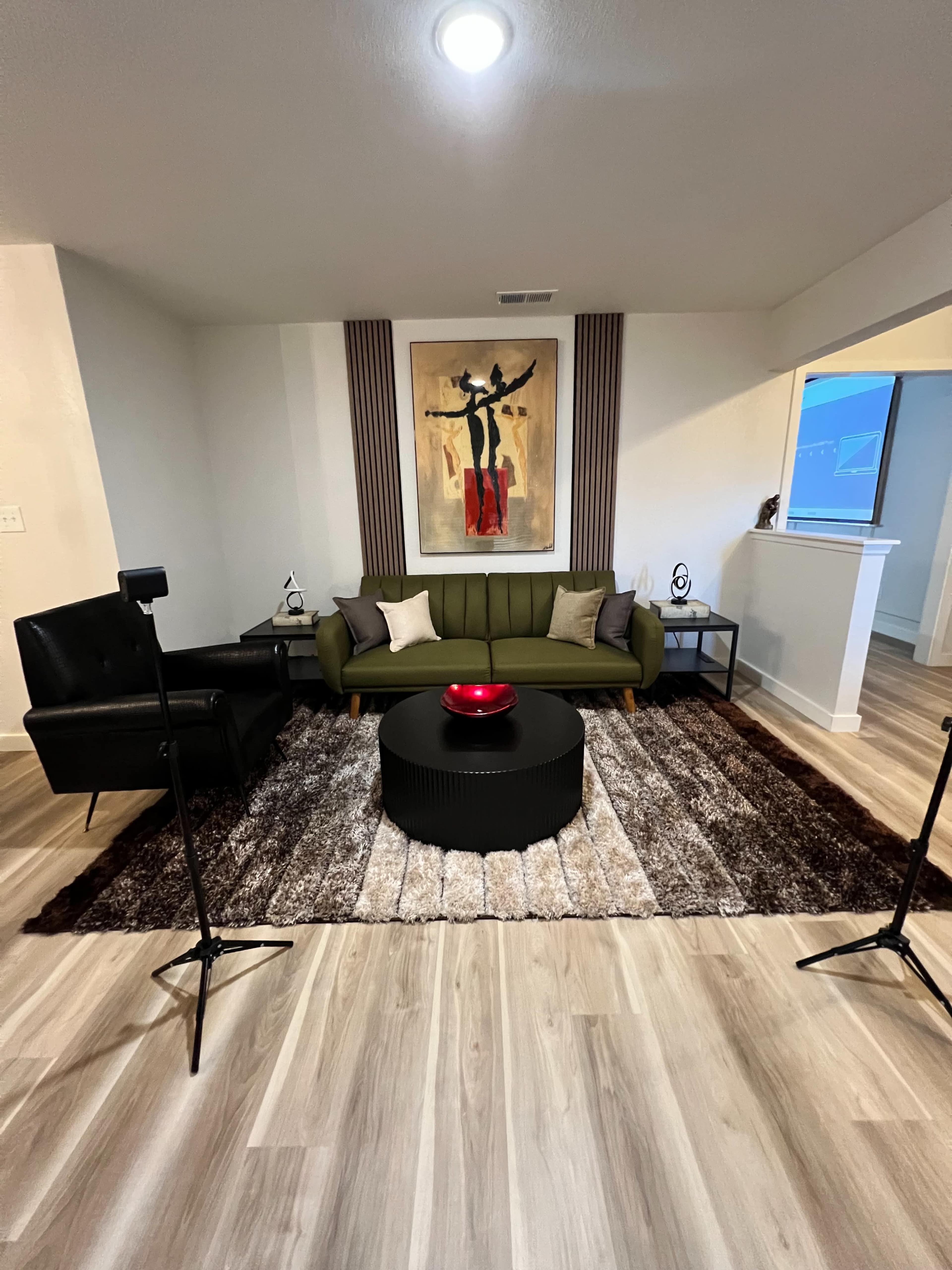 A modern living room featuring a green sofa, a black chair, a round coffee table with a red bowl, and a large area rug on a hardwood floor.