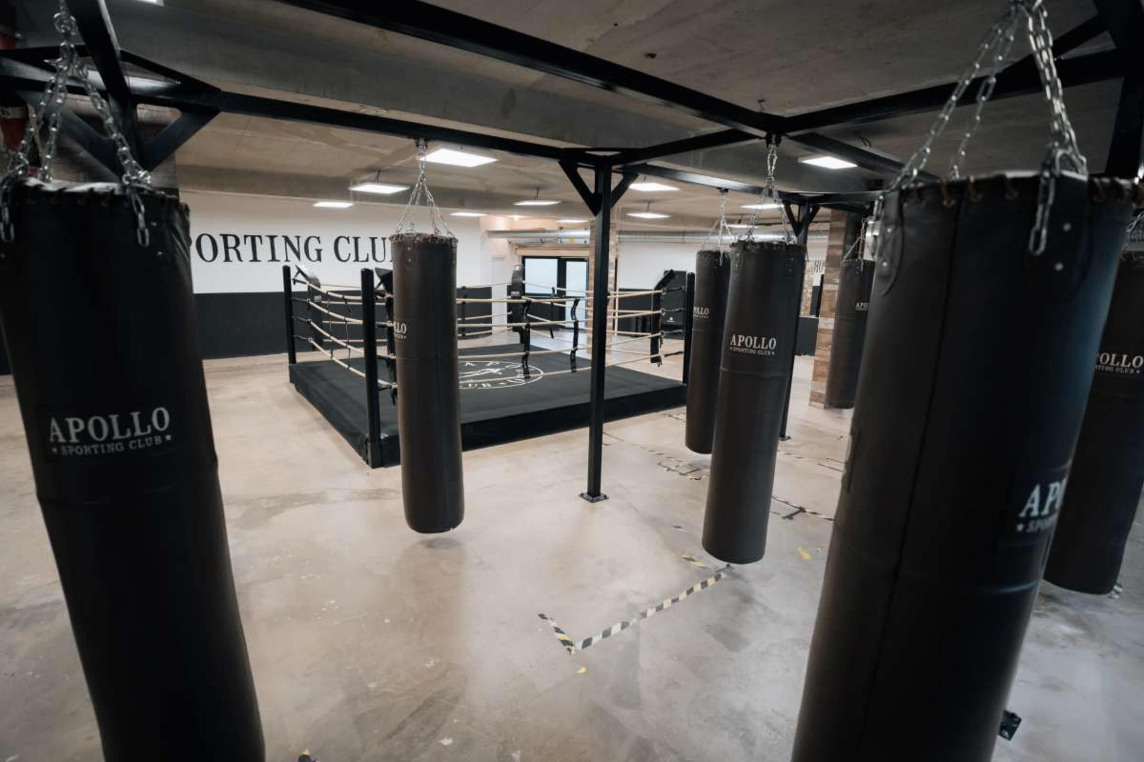 The image shows a boxing gym featuring several hanging punching bags and a central boxing ring.
