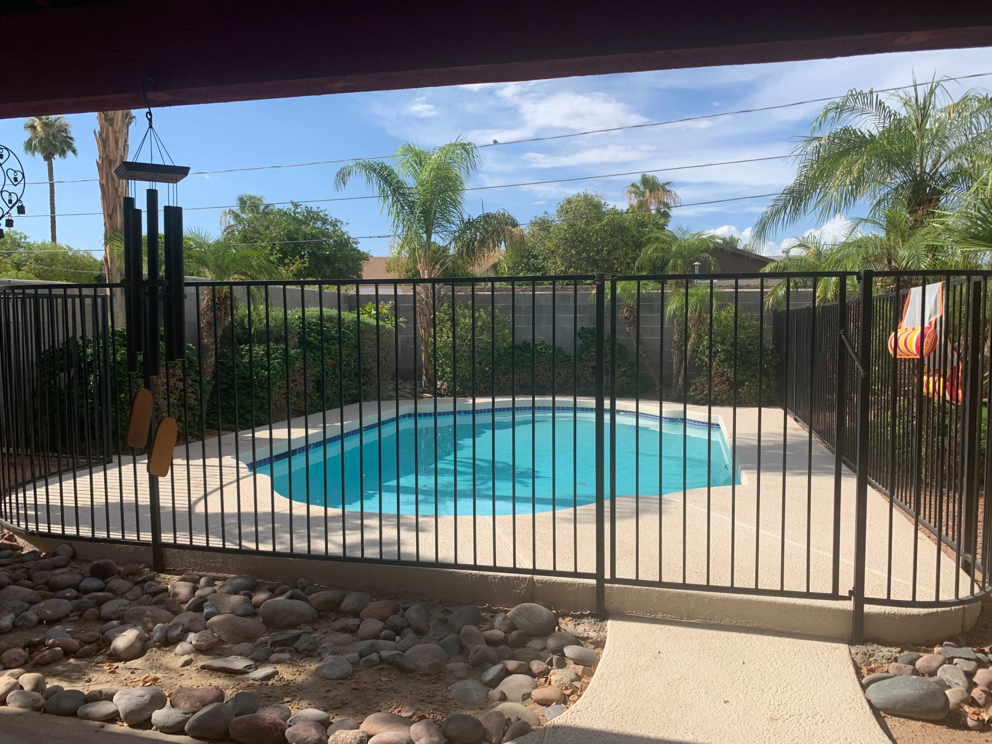 A fenced backyard features a blue swimming pool surrounded by a concrete deck and palm trees in the background.
