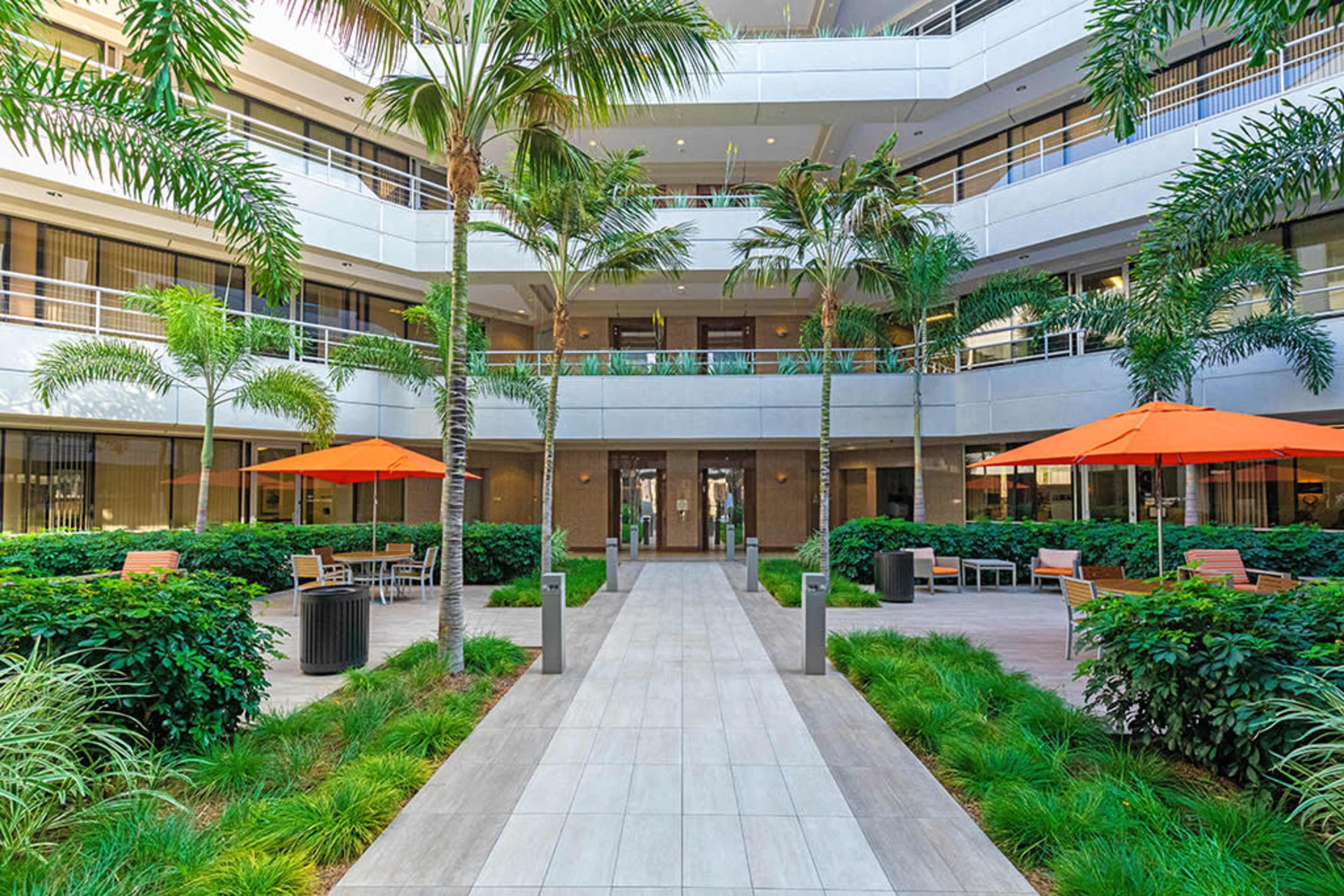 A landscaped courtyard featuring neatly arranged palm trees, vibrant orange umbrellas, and a pathway leading to a building entrance.