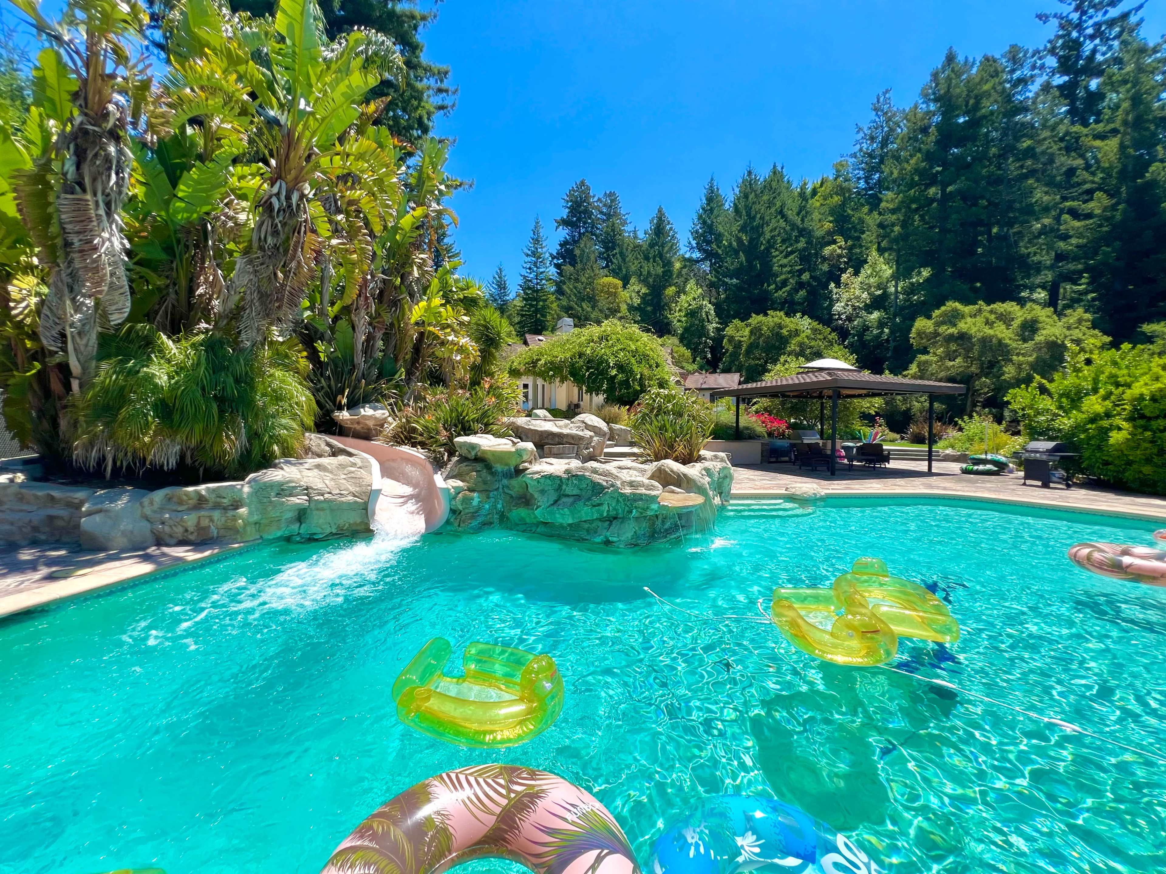 Tropical Paradise with Slide + View in the Santa Cruz Mountains Image in , Scotts Valley, CA