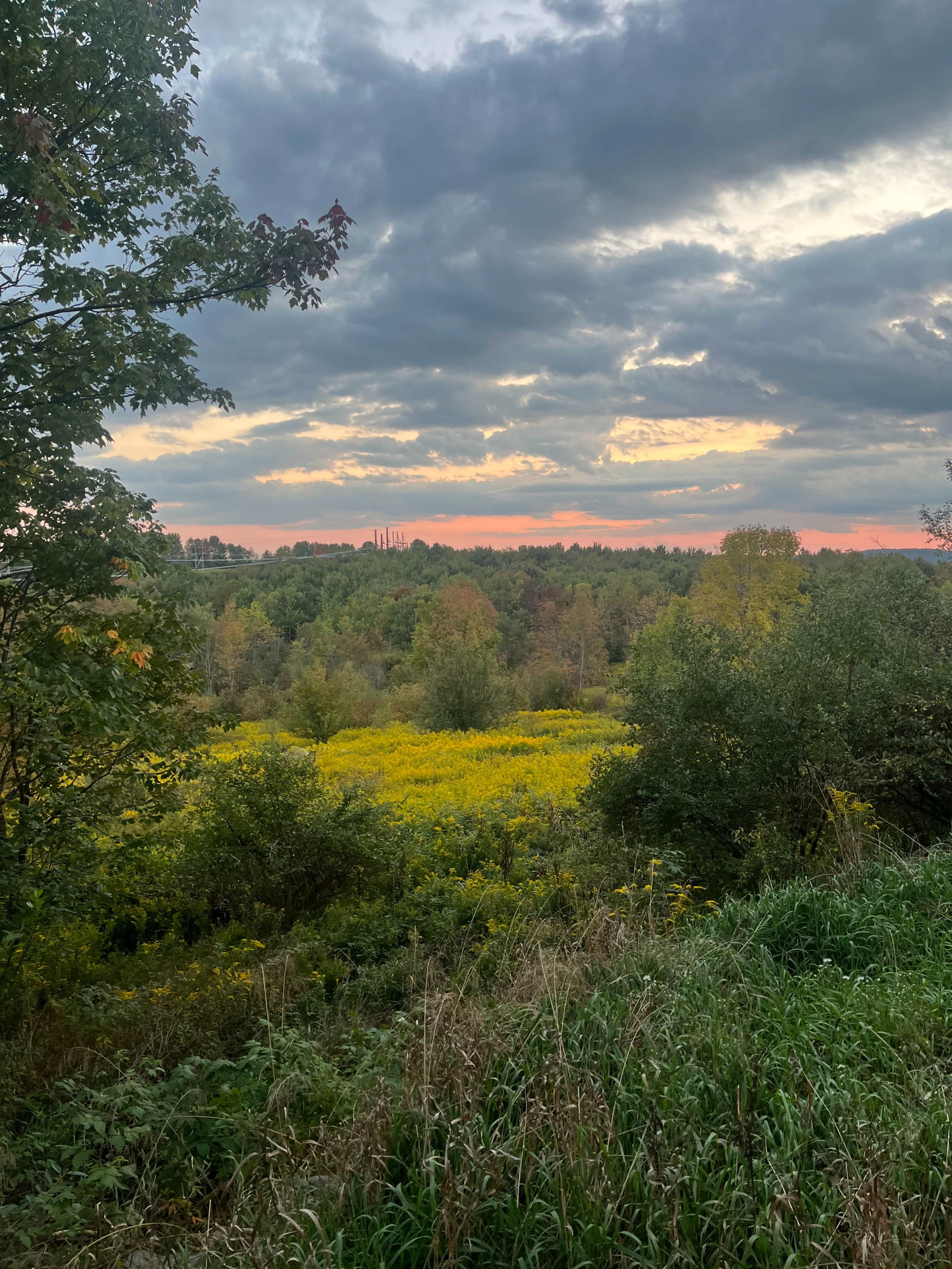 Farm, Fields and Forest in the Catskills Image in Liberty, Liberty, NY