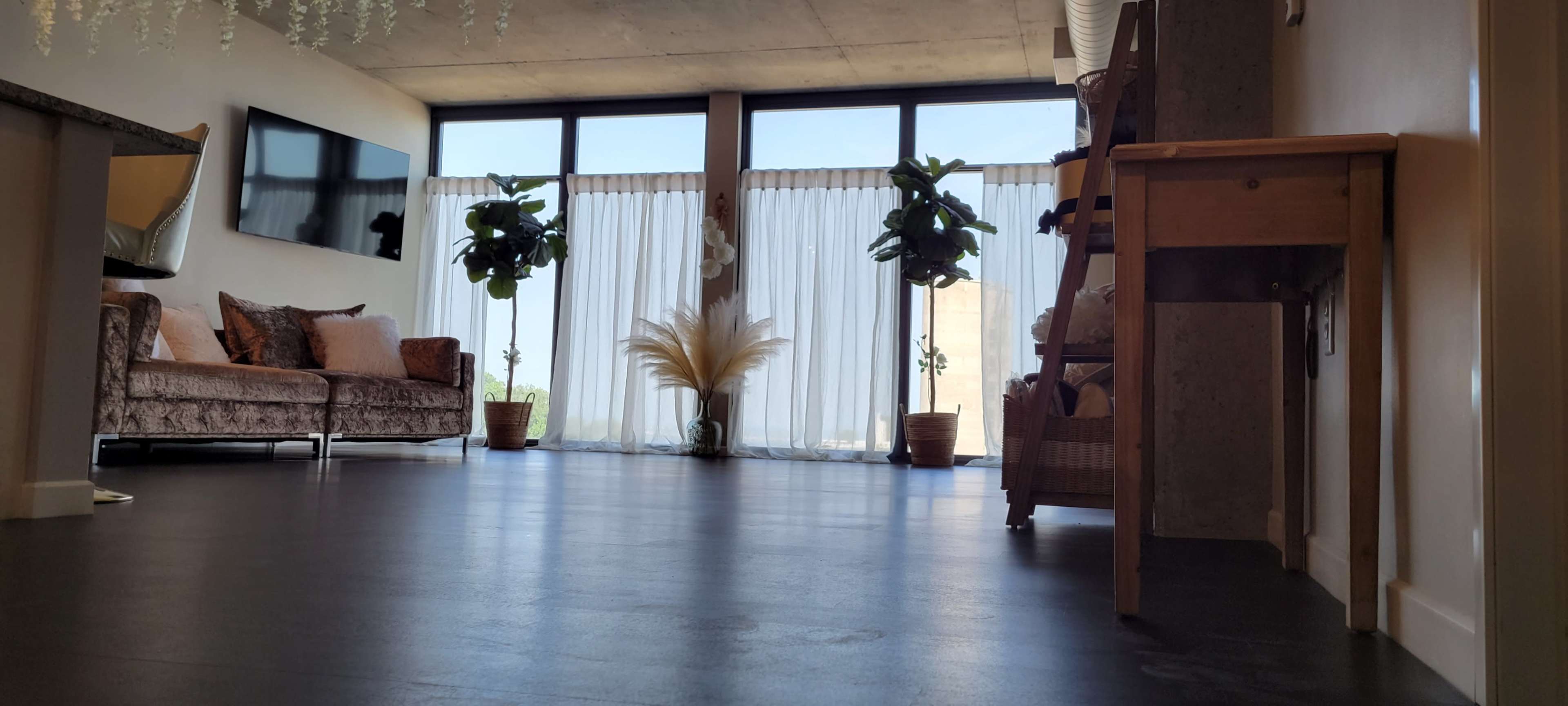 A modern living space with a sofa, potted plants, and large windows dressed with sheer curtains.