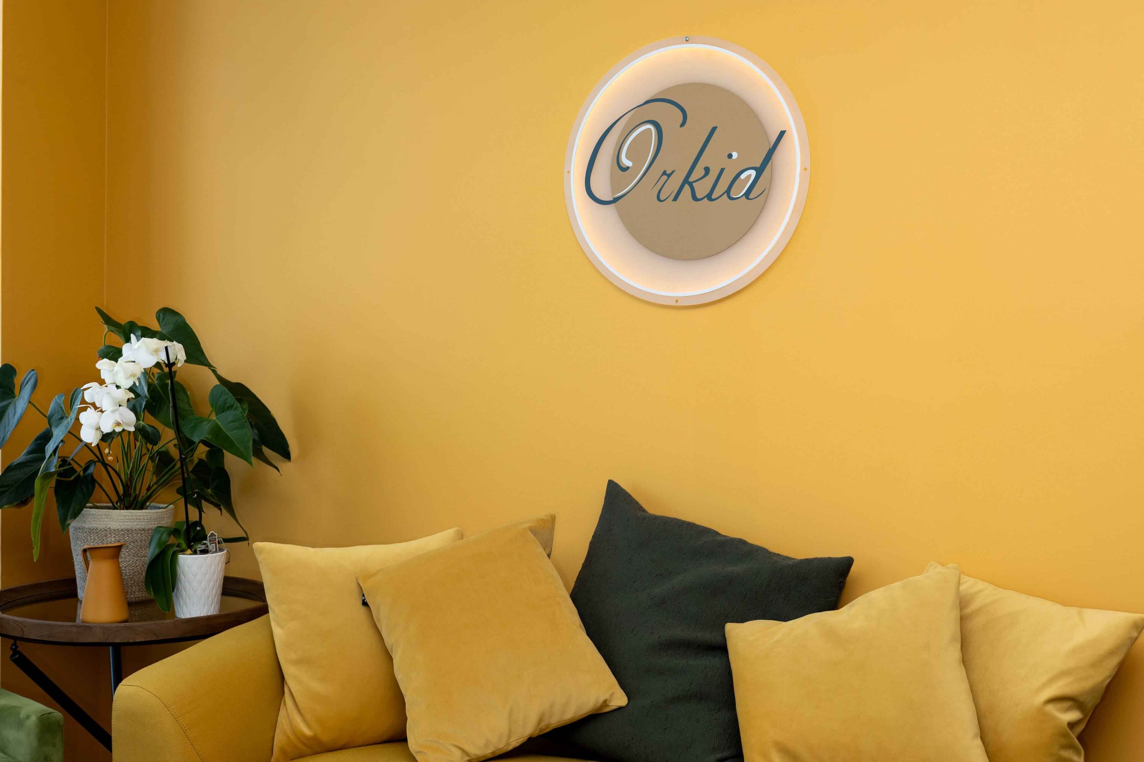 Bright Artistic Space with Full Mirror – Perfect for Exhibits, Workshops, and Movement Classes Image in Willowdale, Toronto, ON
