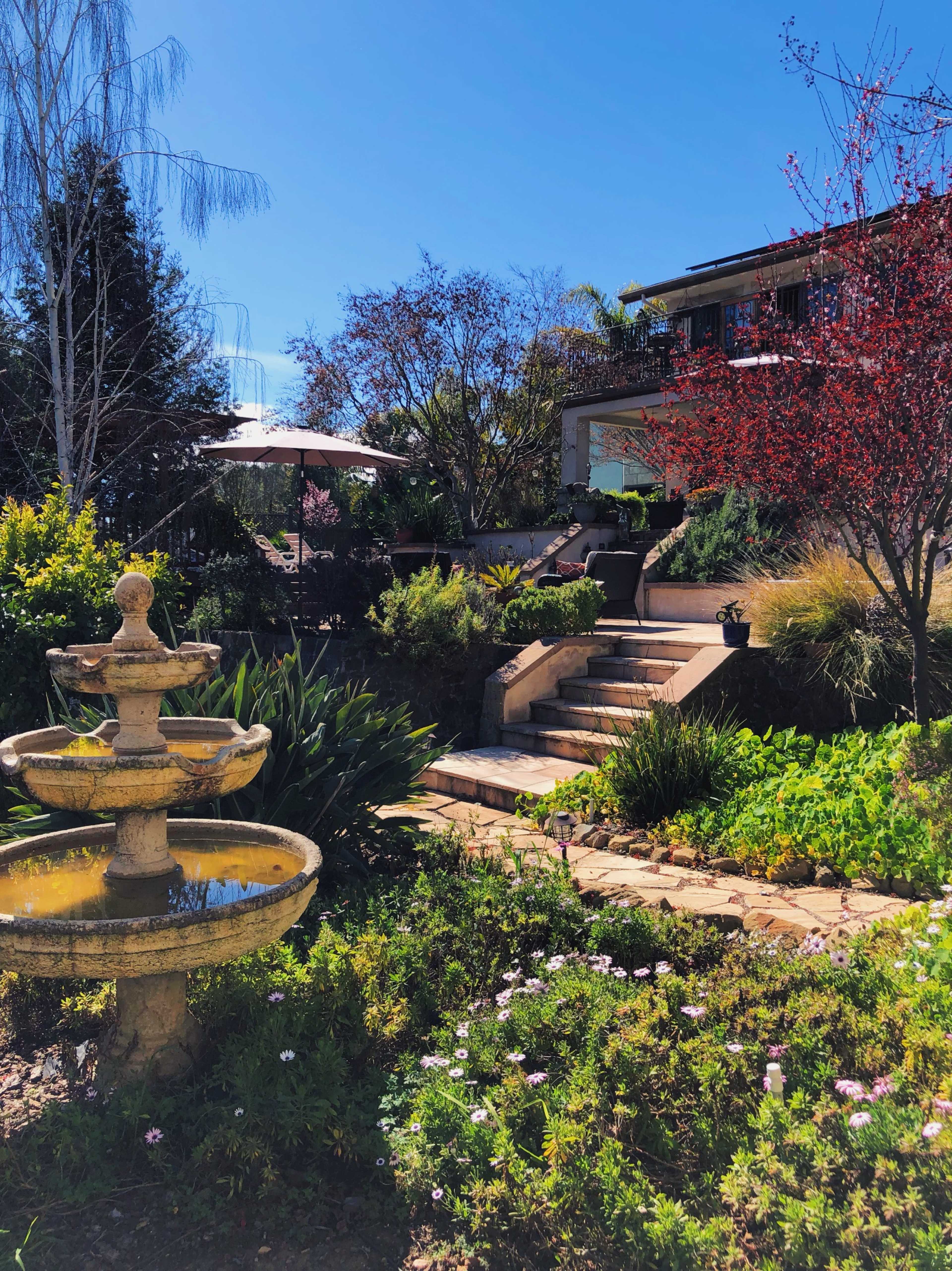 A stone fountain sits in a lush garden with steps leading up to a house partially shaded by trees and blooming plants.
