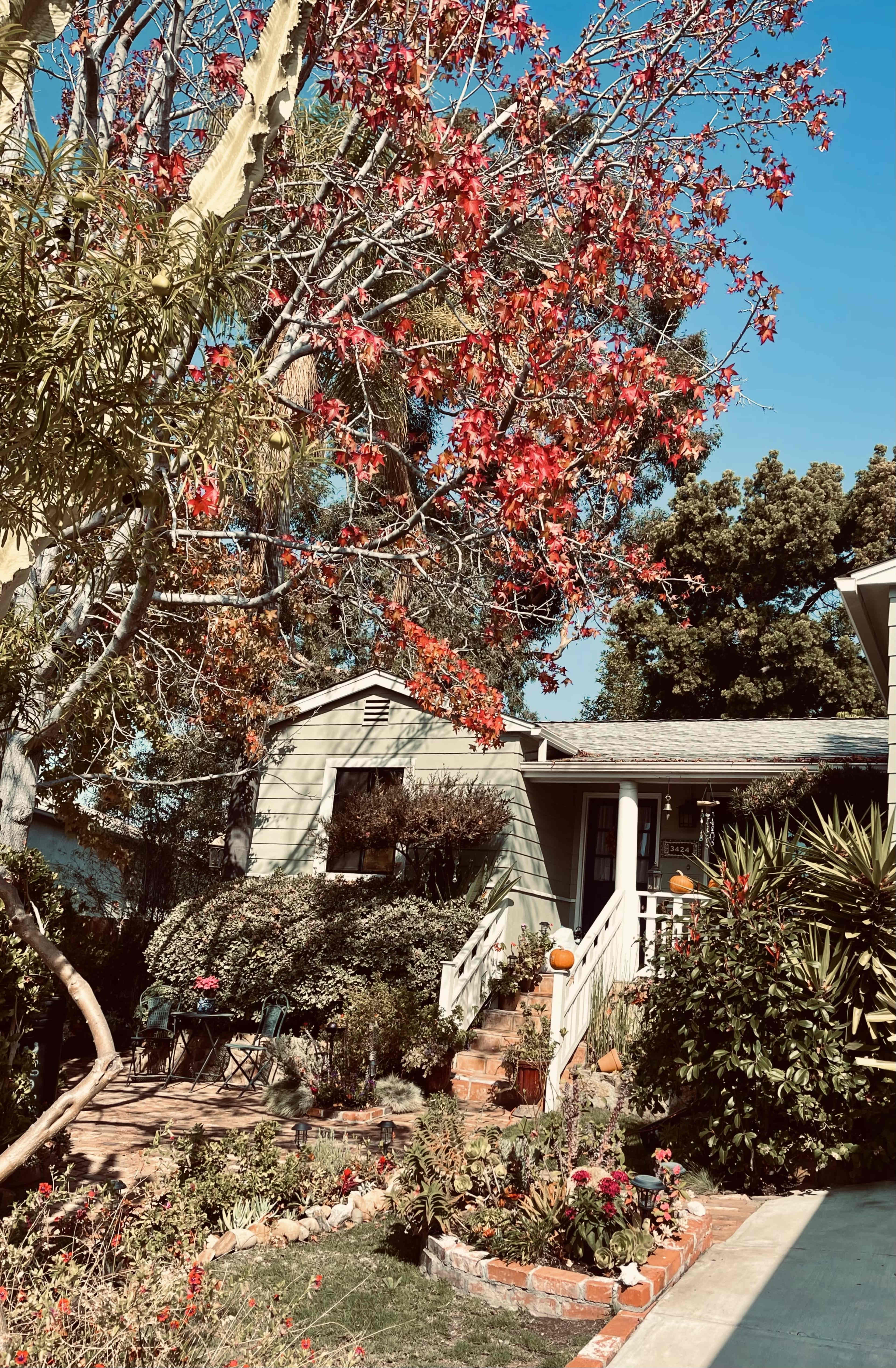 Gorgeous Bricked-In Backyard Botanical Art and Sculpture Garden on Canyon Near Downtown. Image in North Park, San Diego, CA