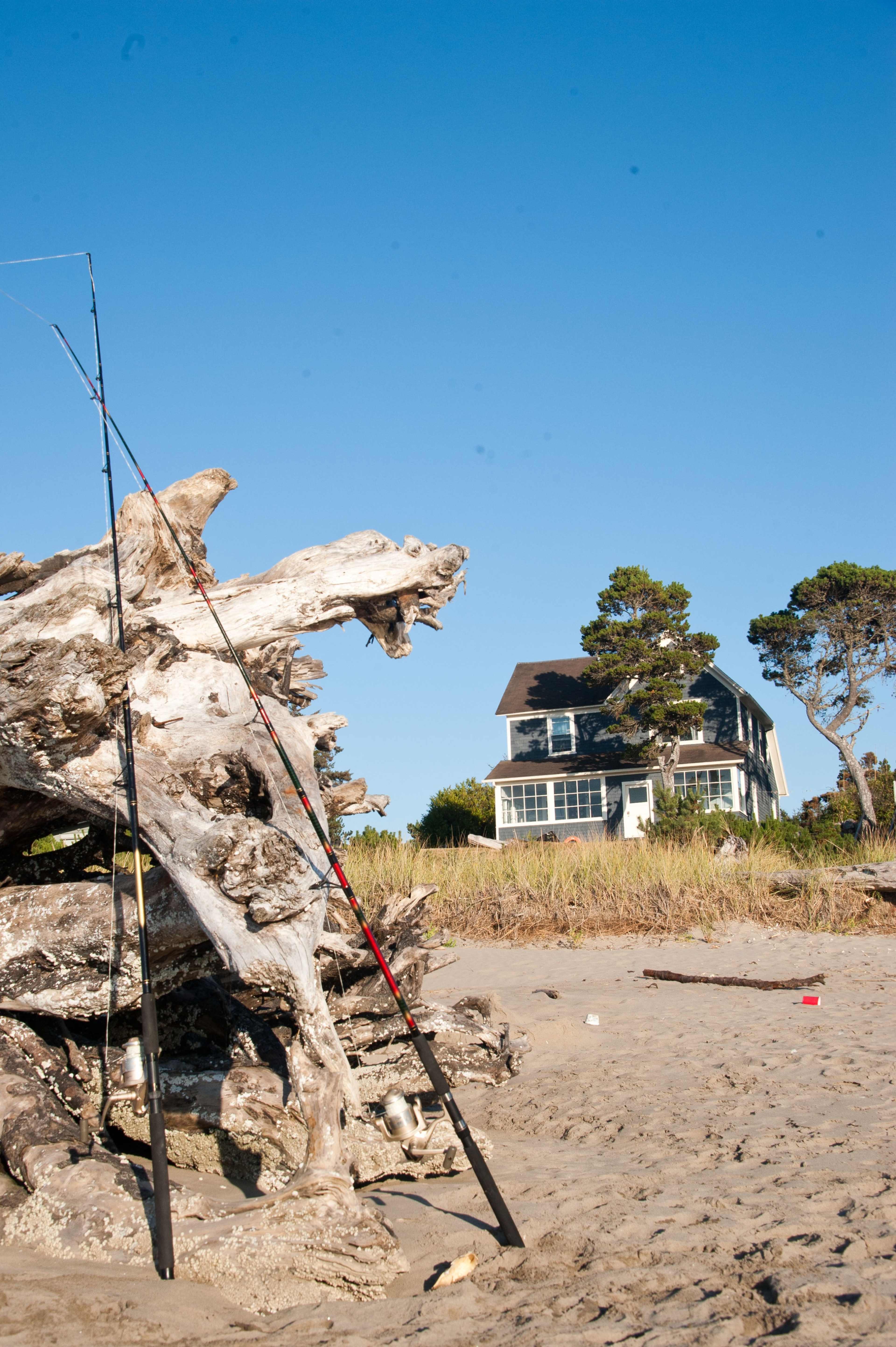 A weathered piece of driftwood stands on a beach with a fishing rod propped against it, while a large house is visible in the background.