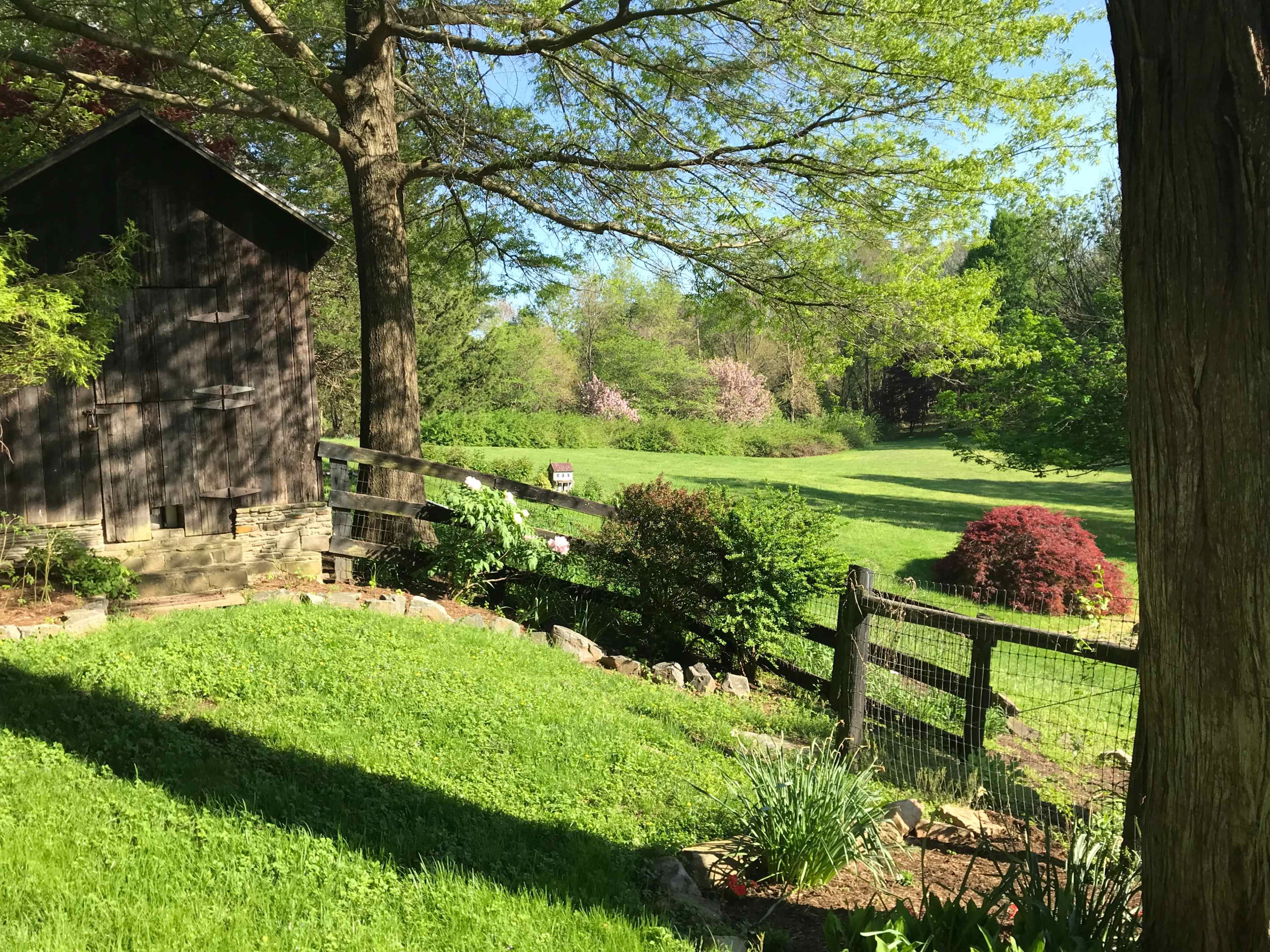 The image shows a green lawn with a wooden barn in the background, surrounded by trees and flowering shrubs.