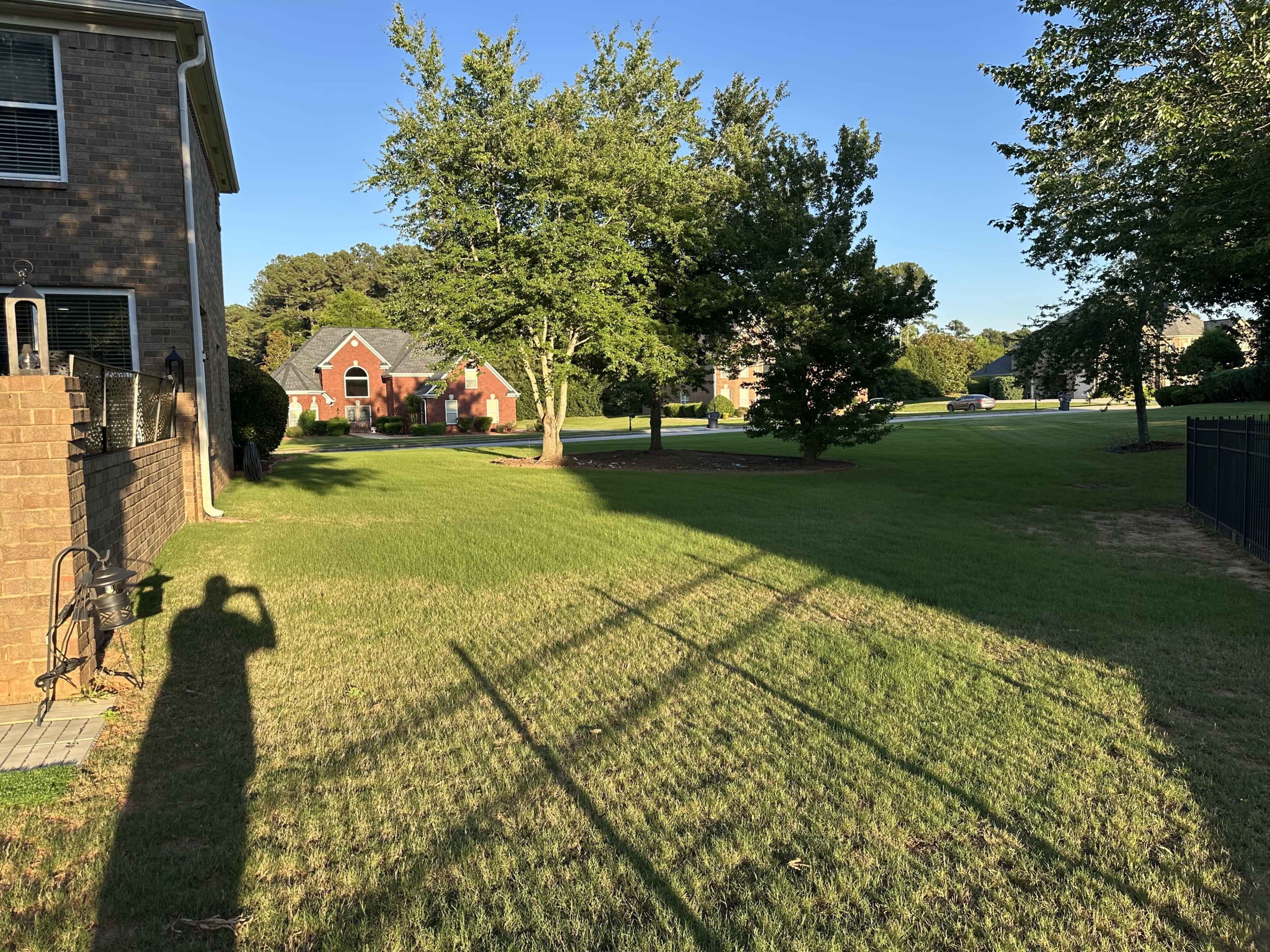 The image shows a residential yard with green grass, a brick house on the left, and trees in the background under clear blue skies.