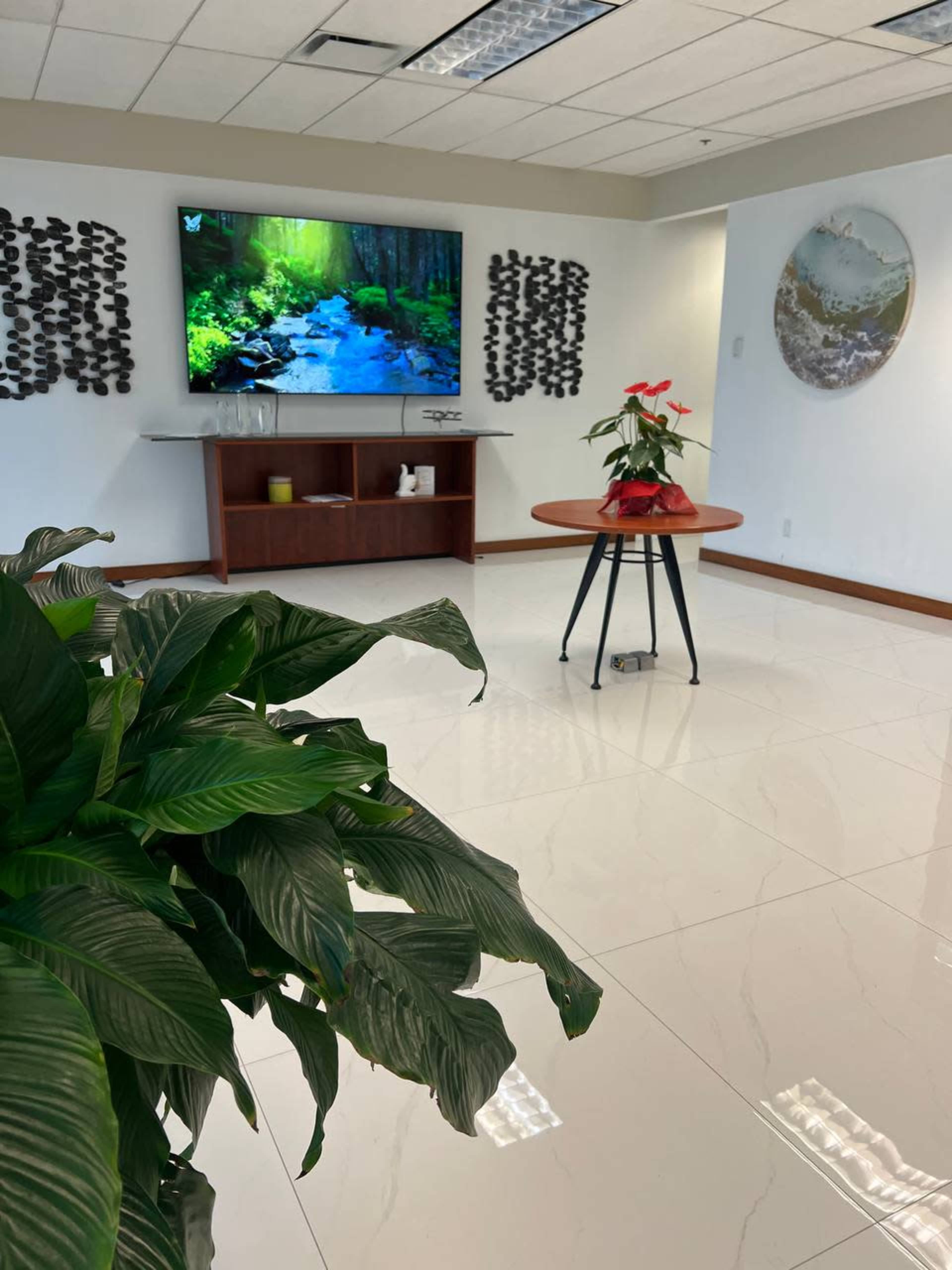 A bright indoor space featuring a television displaying a nature scene, a round table with a potted plant, and decorative wall pieces.