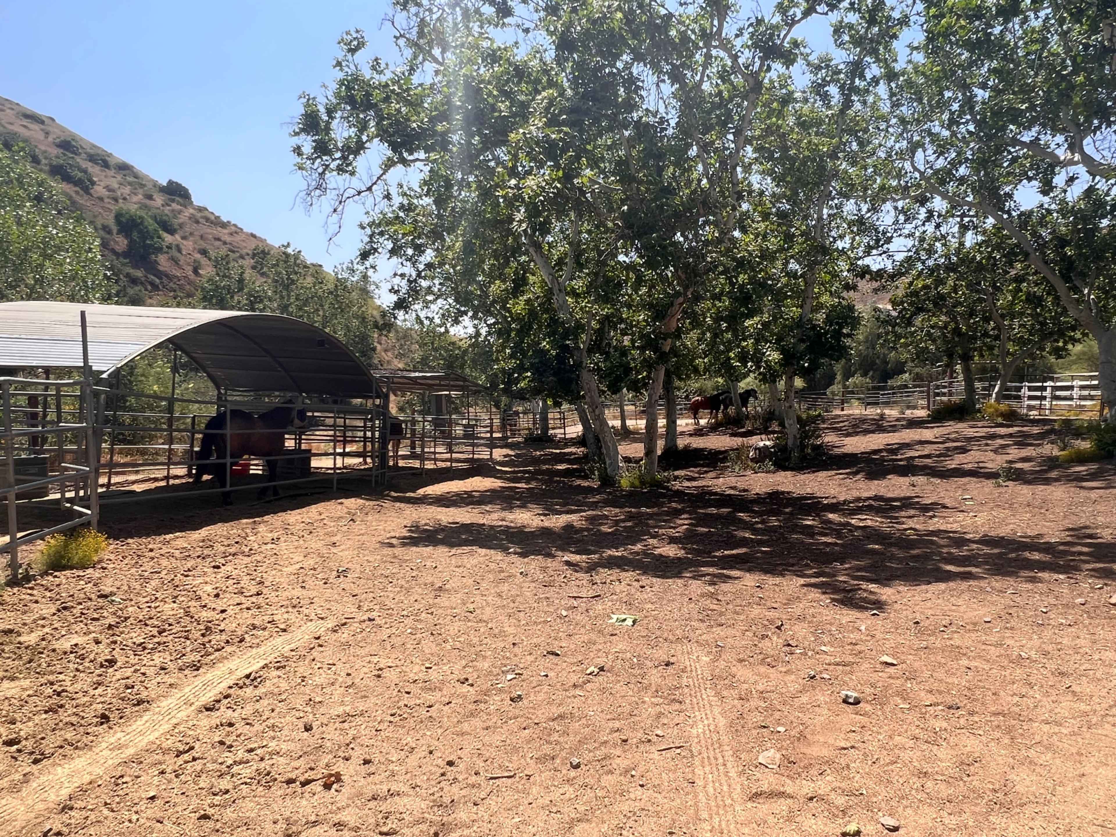 A dirt area on a ranch with a shelter, several trees, and horses grazing in the background.
