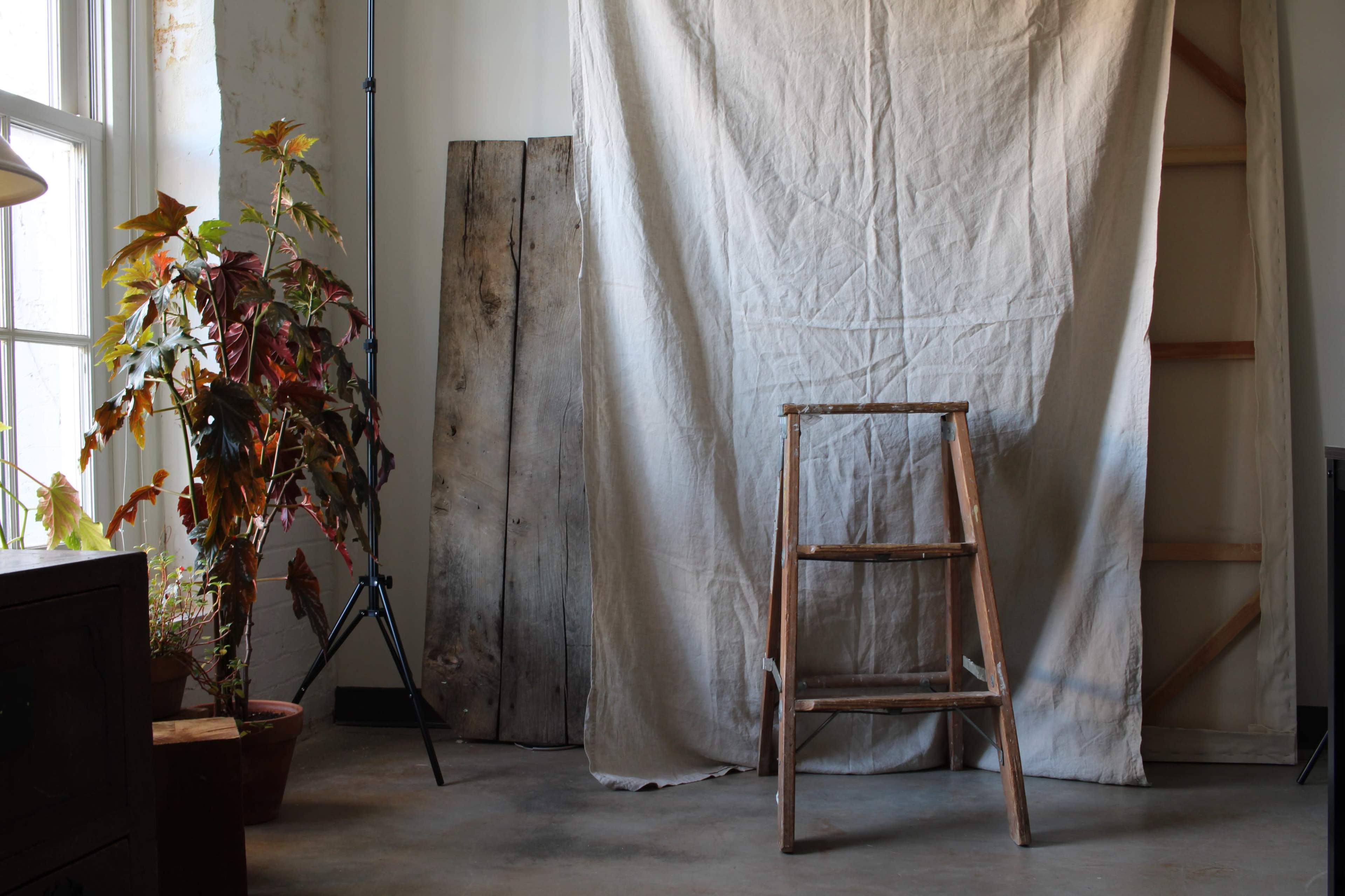 A wooden ladder stands in front of a blank canvas backdrop, flanked by a potted plant and wooden boards in a room with concrete flooring.