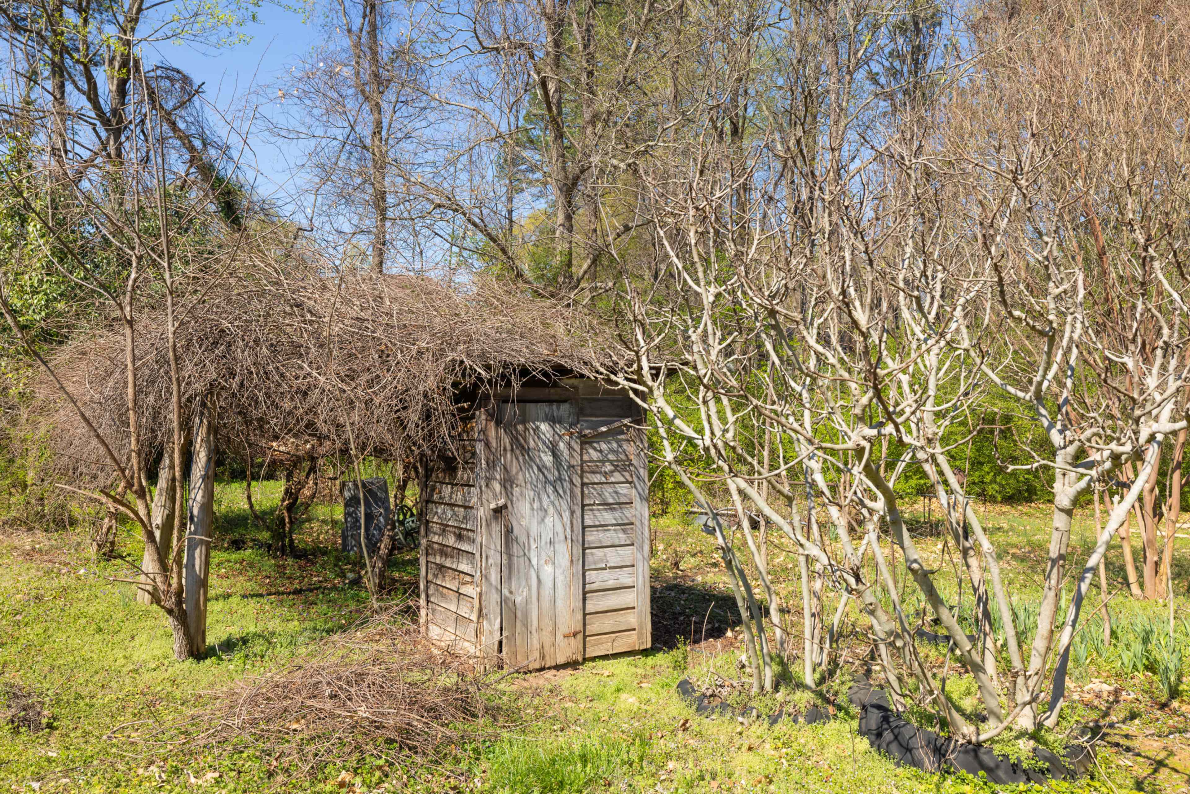 A small wooden shed with a thatched roof stands in a garden surrounded by bare shrubs and trees.