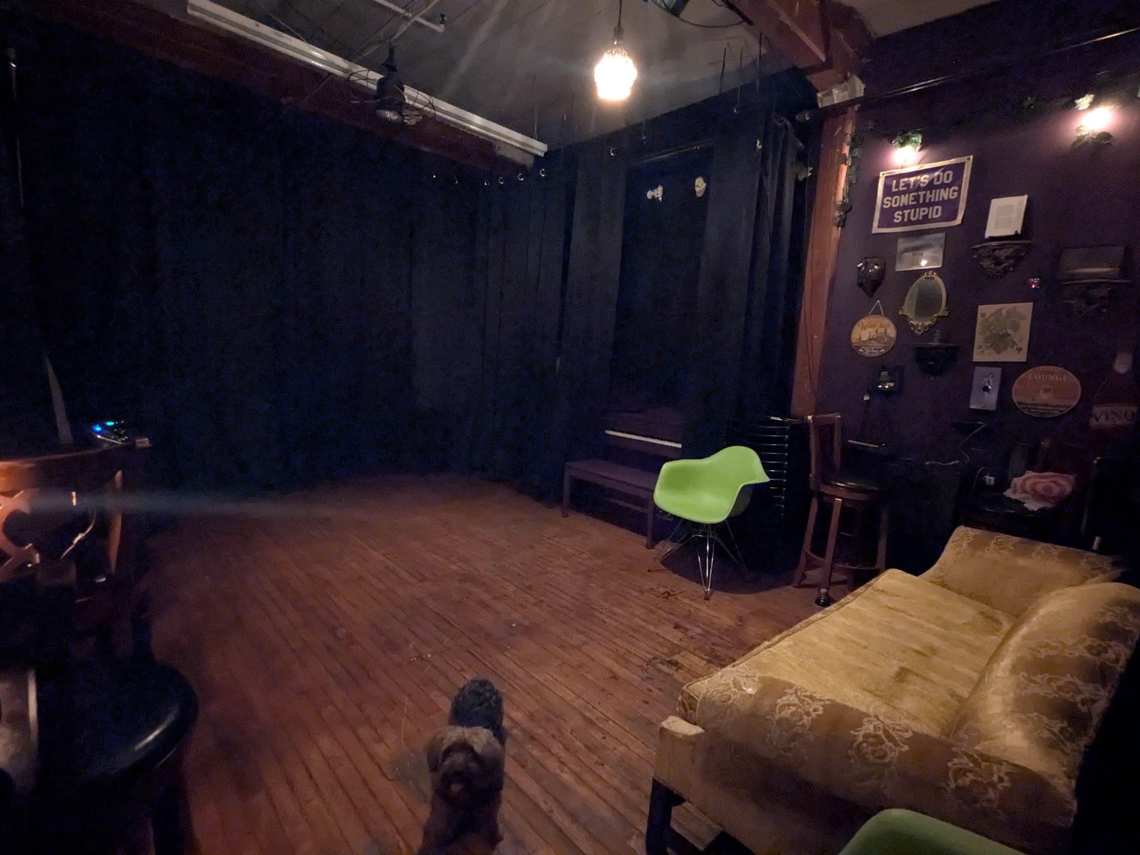 The image shows an empty performance space with dark curtains, wooden flooring, a green chair, and a small dog in the foreground.