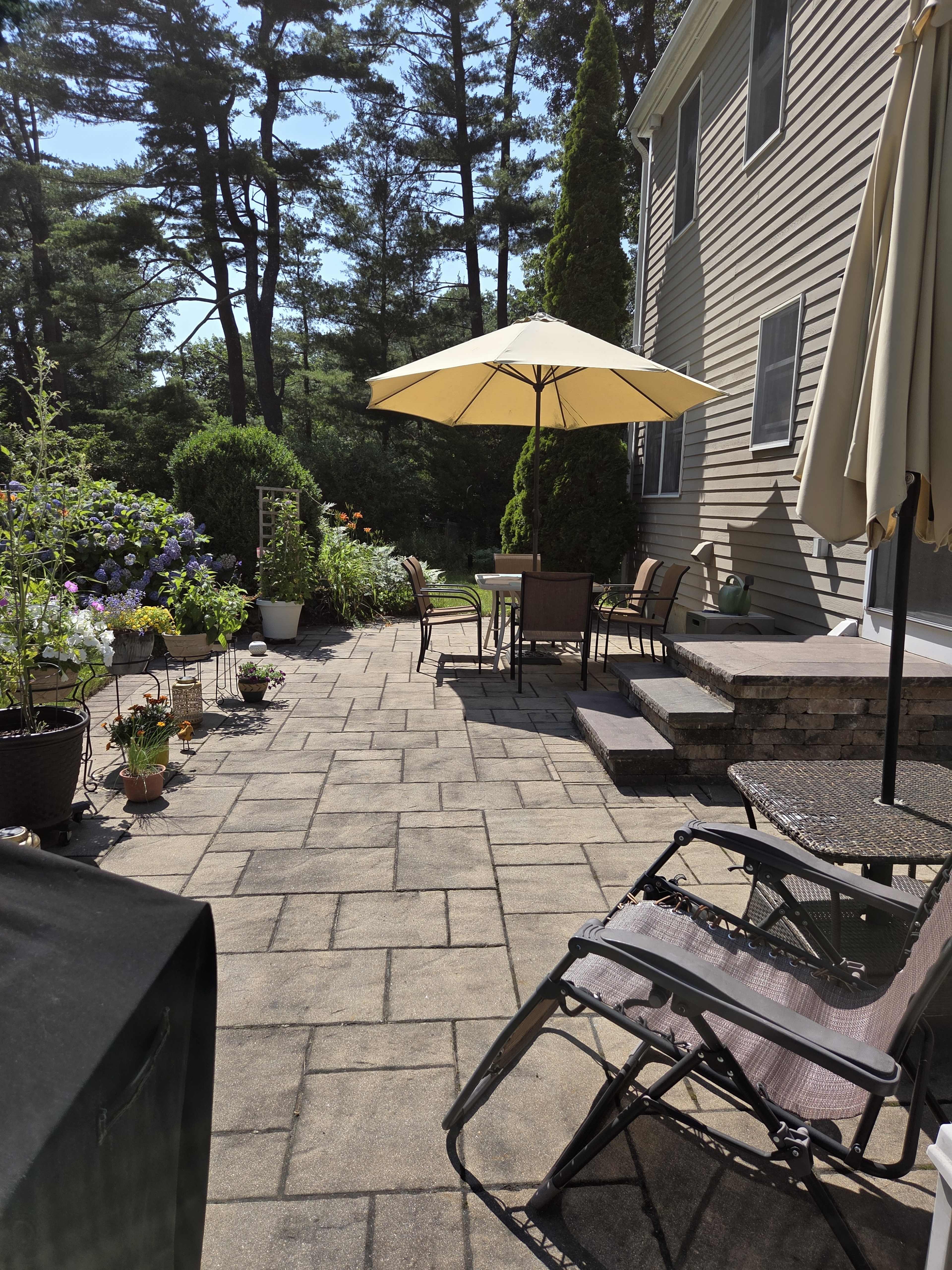 The image shows a stone patio area with outdoor furniture, an umbrella, and various potted plants in a garden setting surrounded by trees.