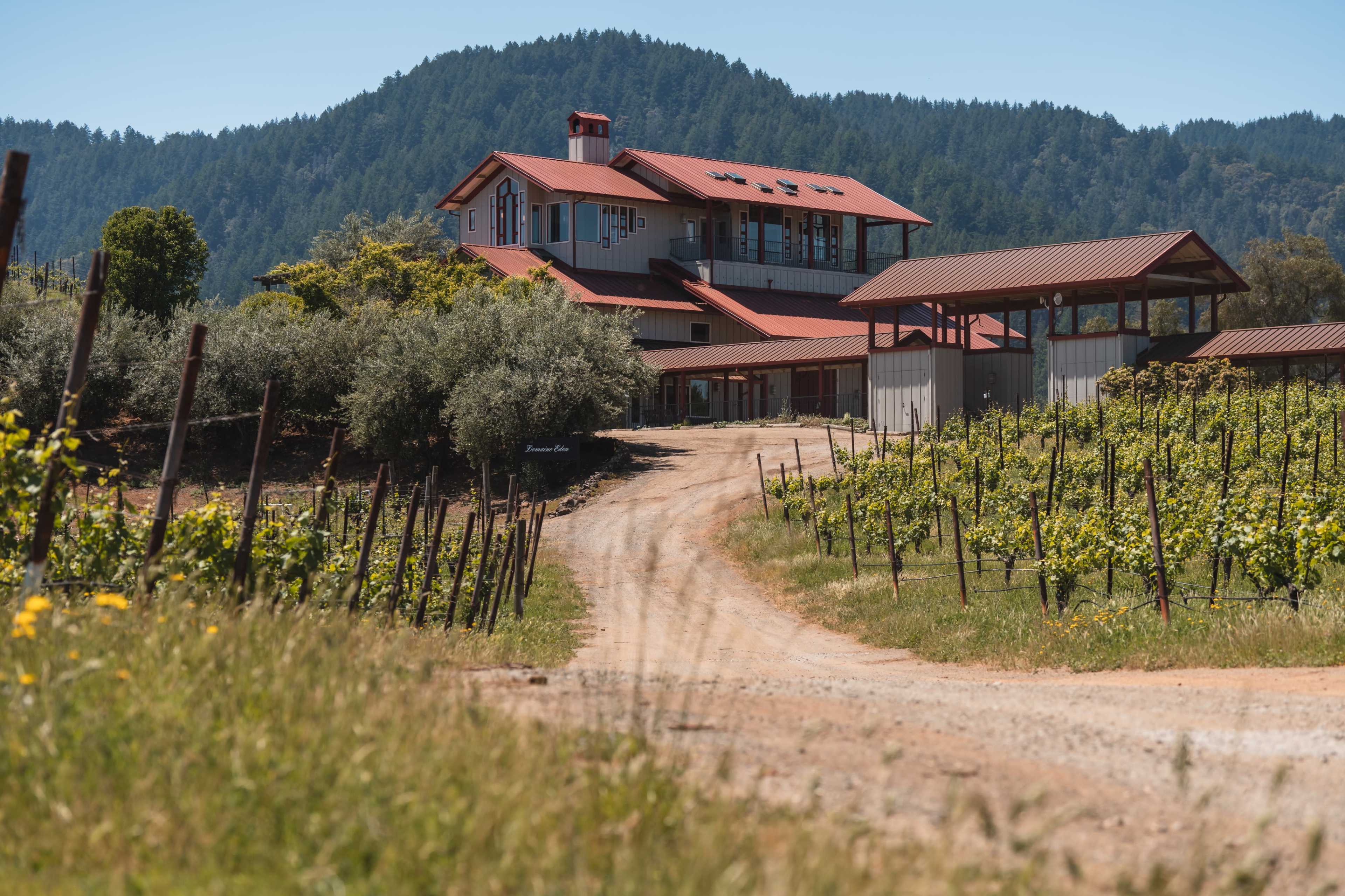 Elegant Vineyard Venue in Saratoga – Ideal for Tastings & Team Offsites Image in , Saratoga, CA