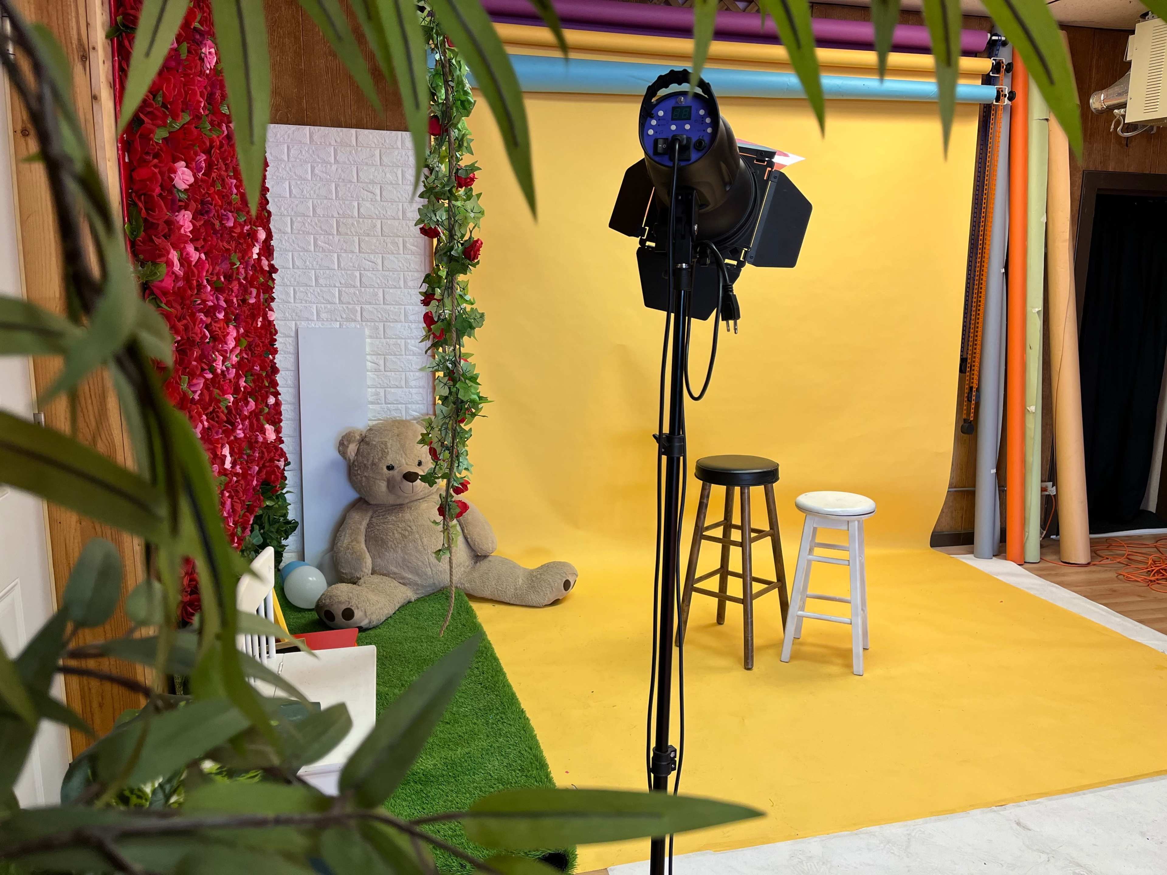 The image shows a brightly lit photo studio with a yellow backdrop, a large teddy bear, and two stools positioned in front of a decorative floral arrangement.