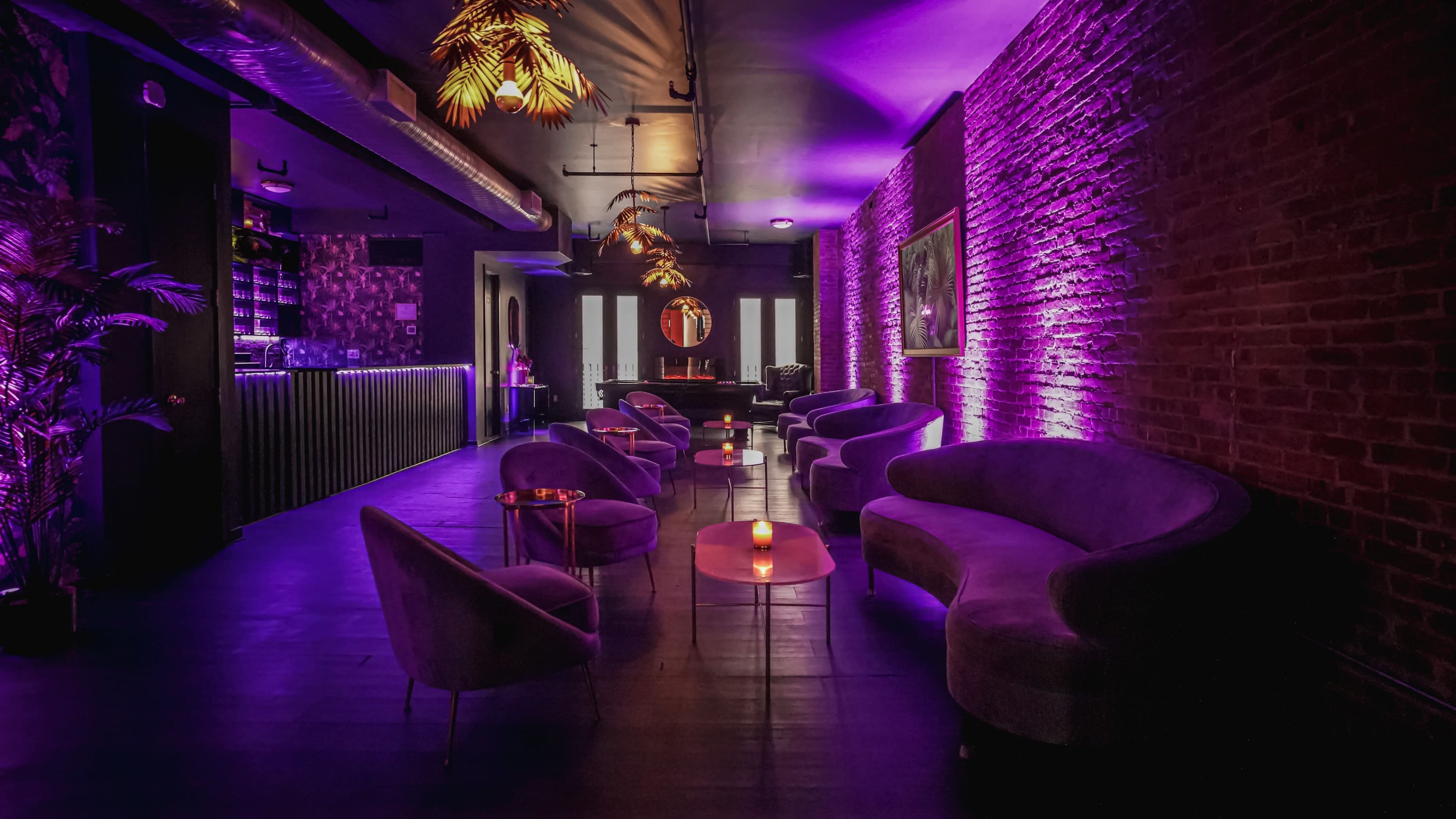The image shows a dimly lit lounge with purple lighting, featuring curved sofas and small tables, along with decorative elements like hanging plants.