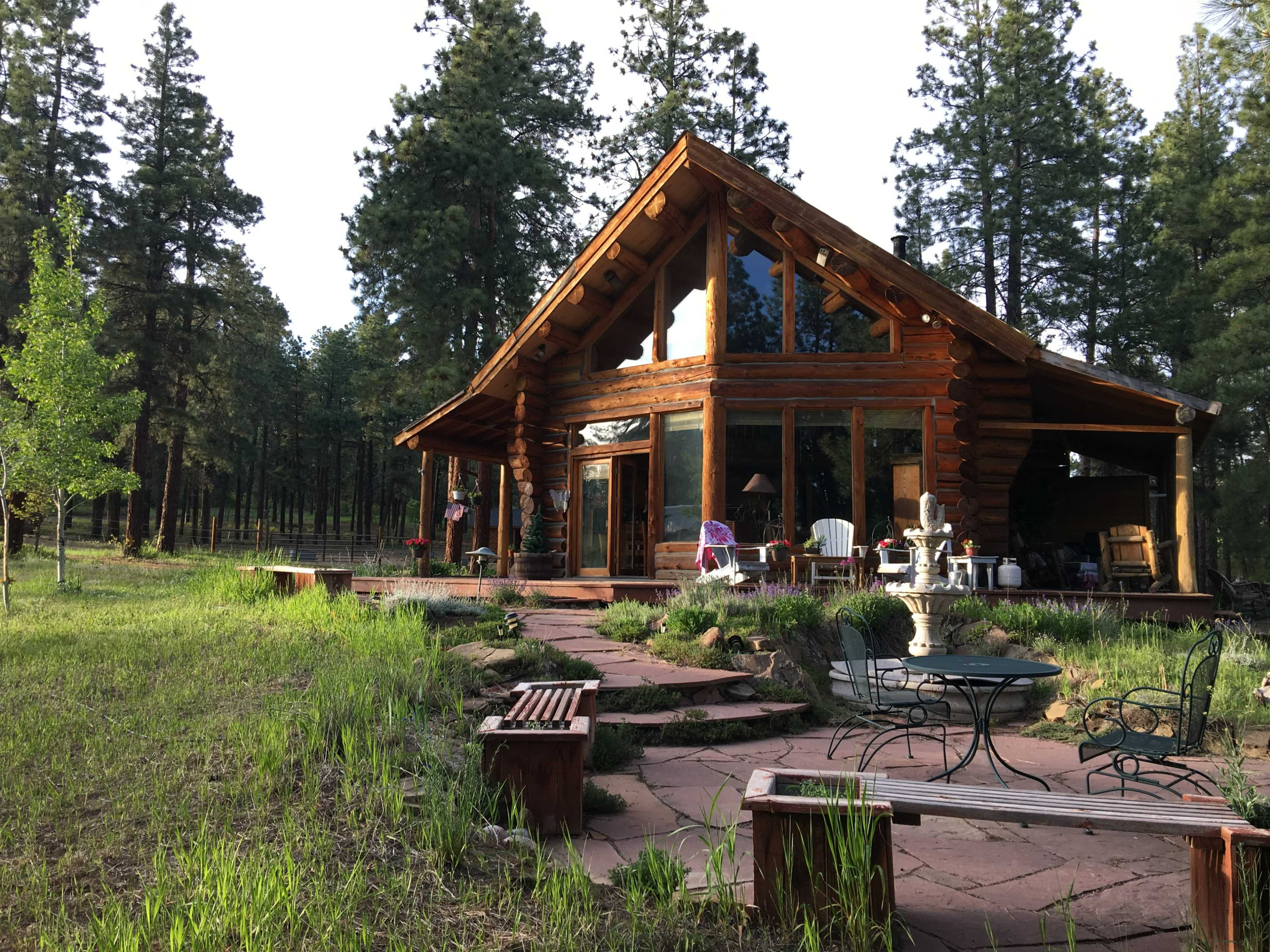 A log cabin with large windows and a spacious porch is surrounded by tall pine trees and grassy areas, featuring a stone path and outdoor seating.