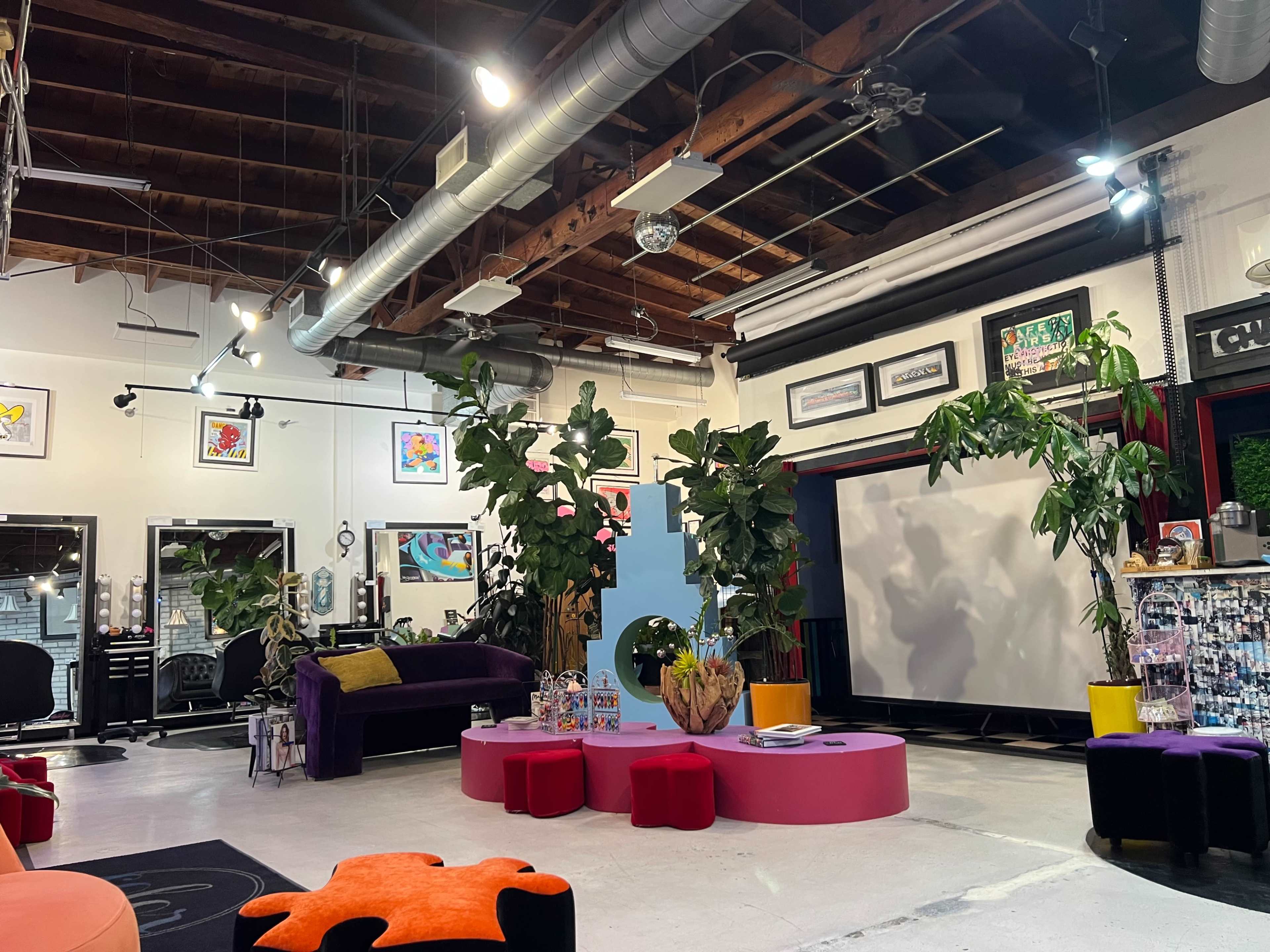 The image shows a modern salon interior with a mix of colorful furniture, large plants, and framed artwork on the walls.