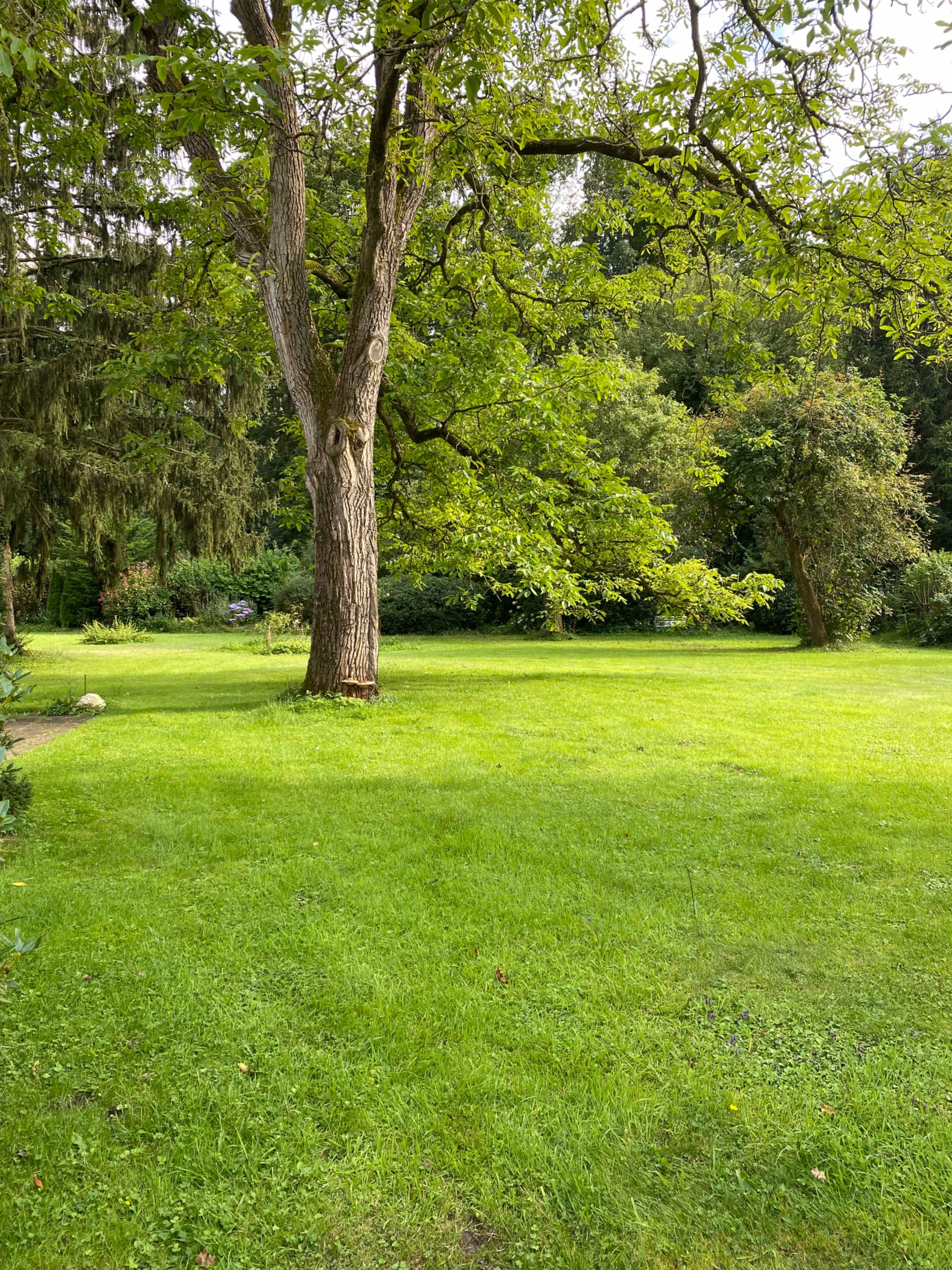 Thatched Forester's House With Spacious Garden And Fireplace Image in Roggendorf/Thenhoven, Dormagen
