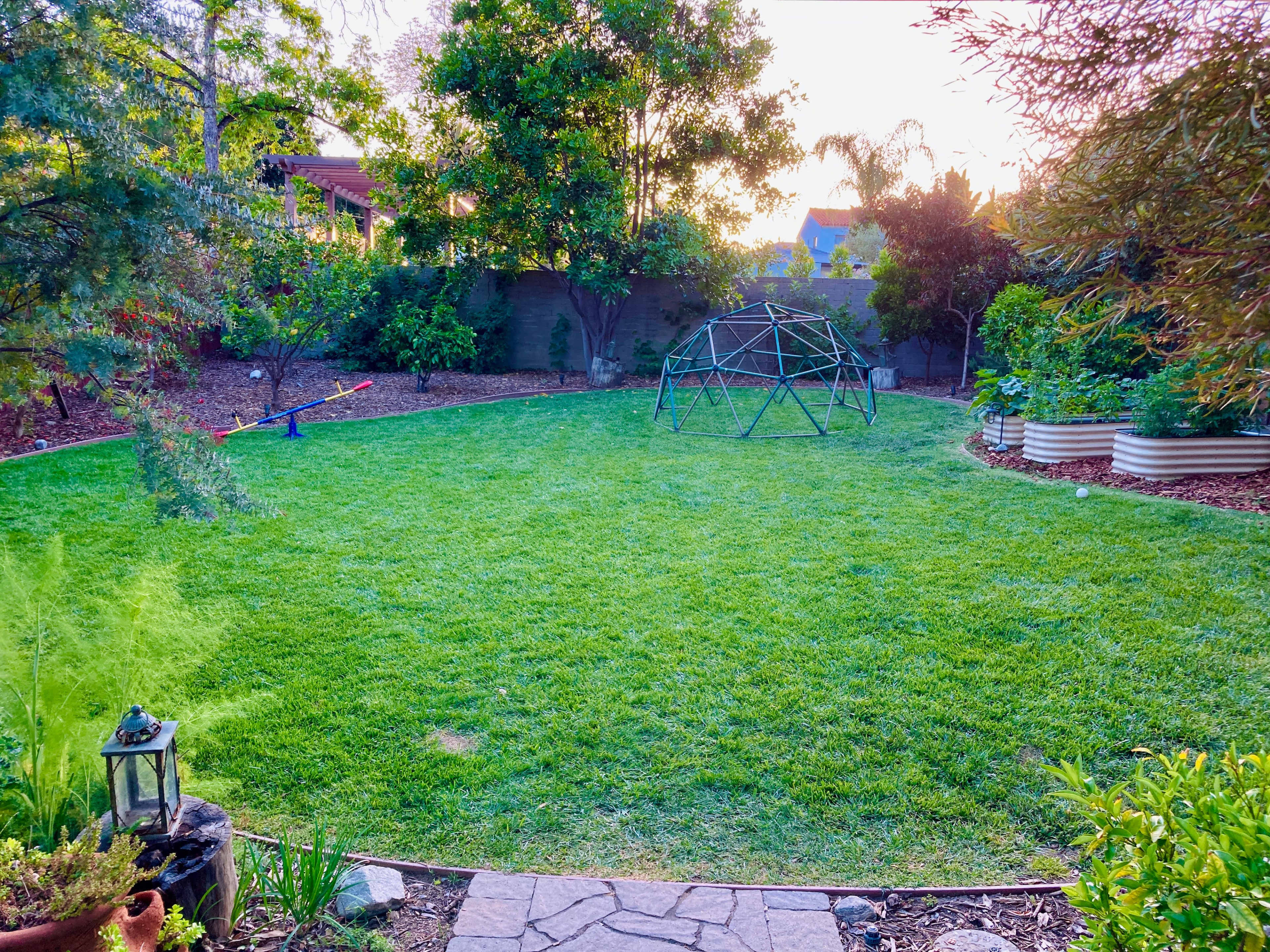 The image shows a well-maintained backyard with a grassy area, a playground structure, and various plants around the perimeter.
