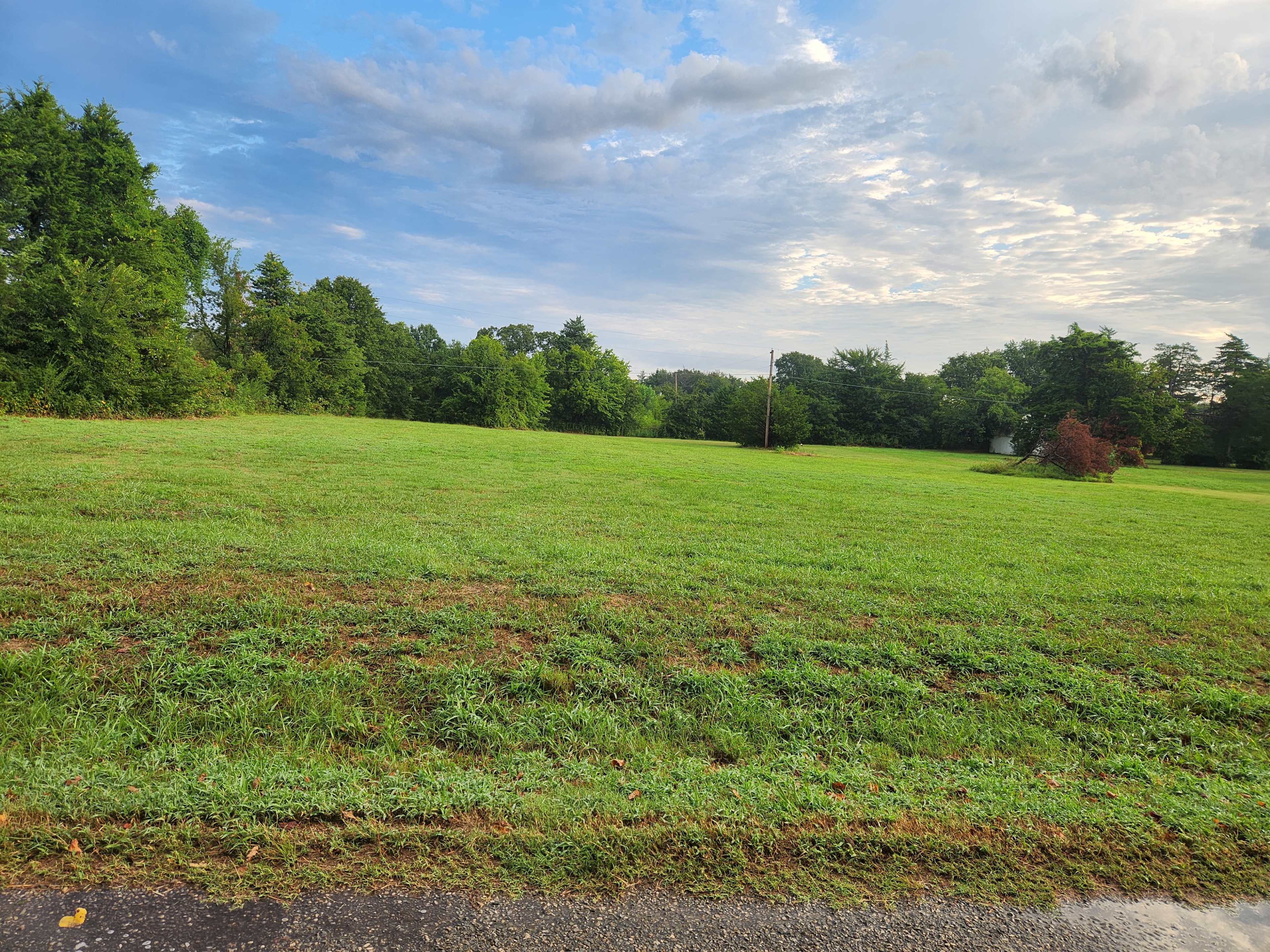 The image shows a grassy field bordered by trees under a partly cloudy sky.