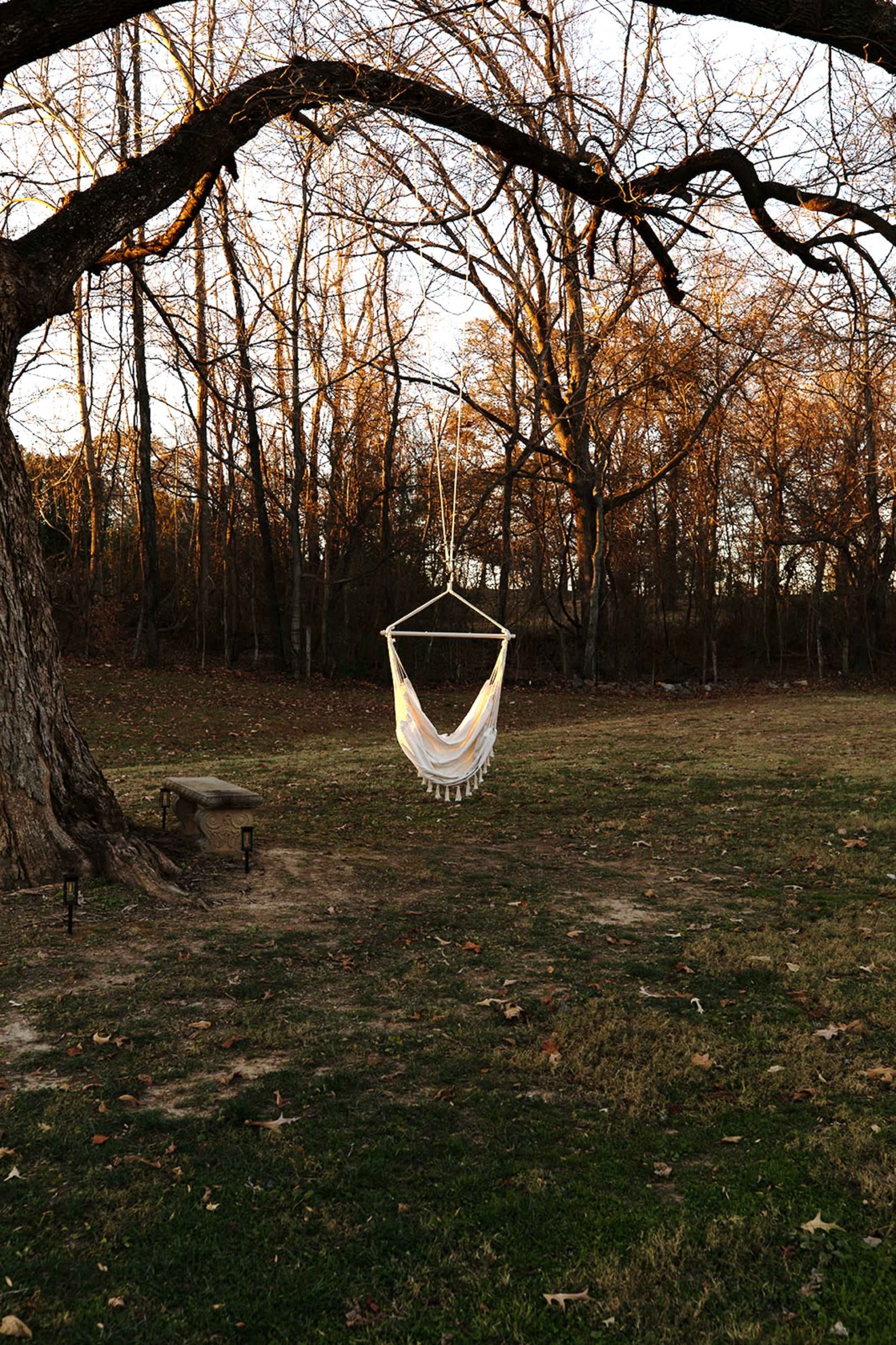 A hammock is suspended from a tree branch in a bare backyard surrounded by trees.