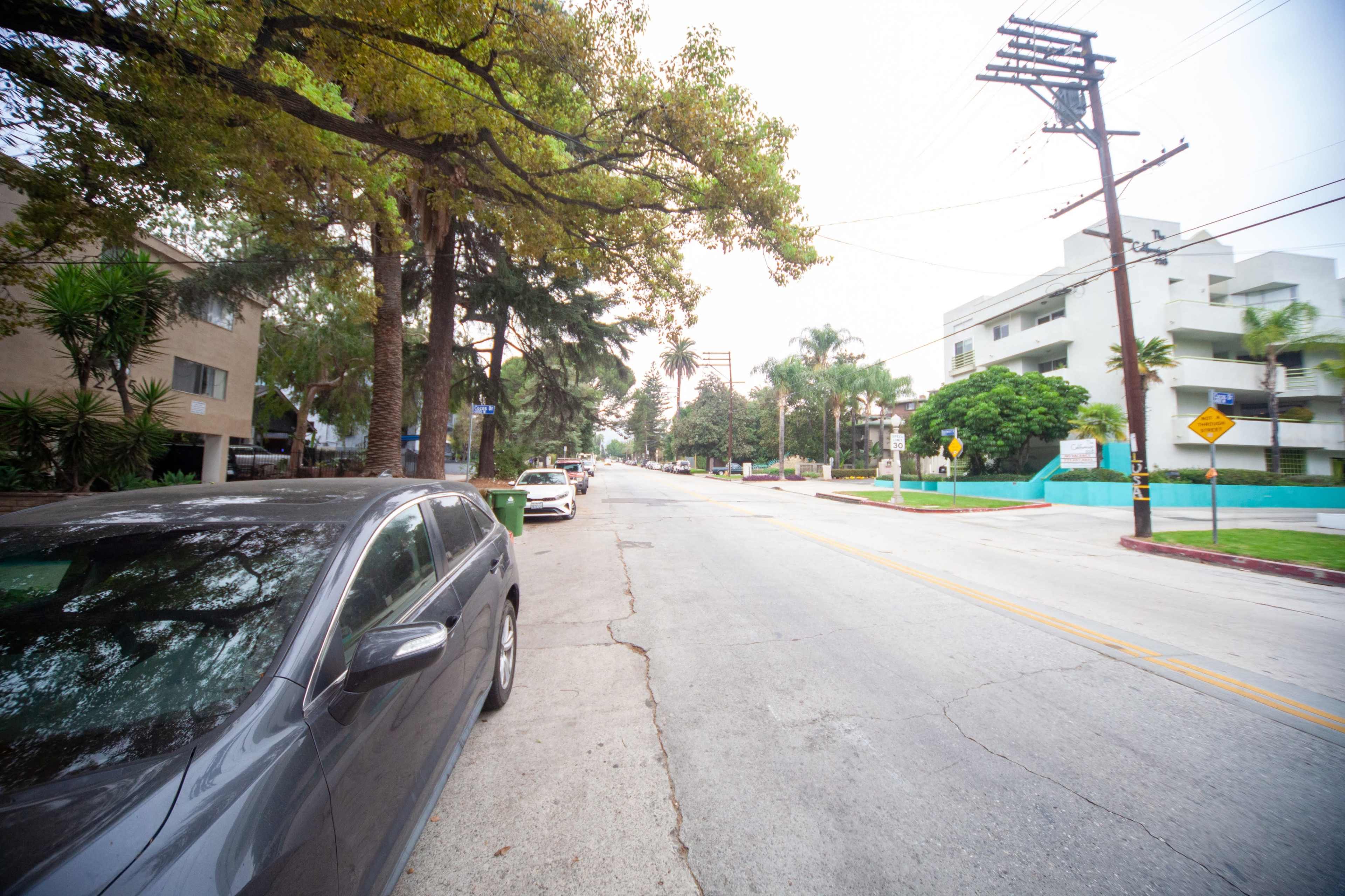 A residential street with parked cars on one side, lined by palm trees and low-rise buildings.