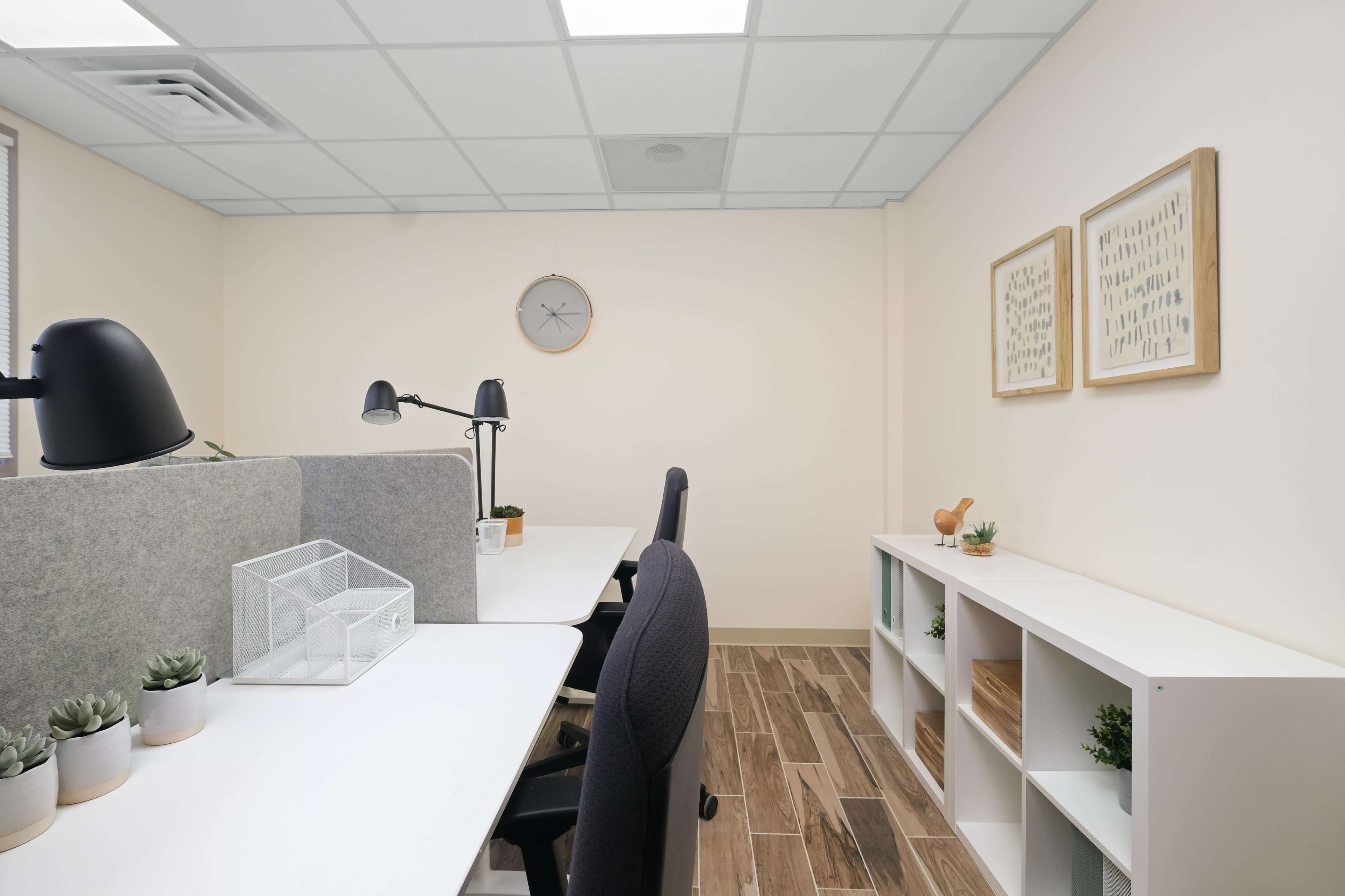 A modern office space with two desks, a wall-mounted clock, and shelves displaying small plants and decor items.