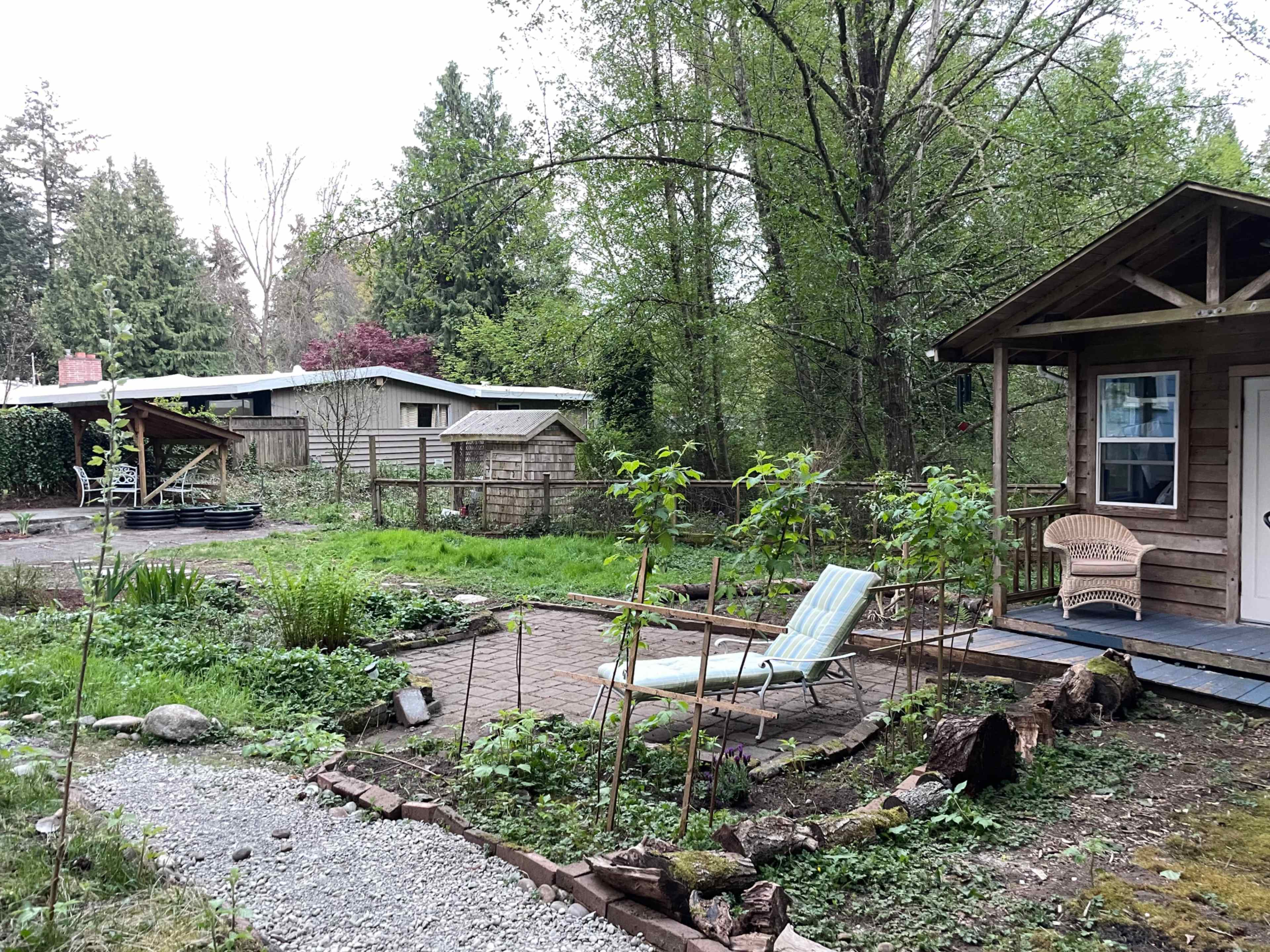 A backyard with a wooden cabin, a lounge chair, and an overgrown garden area surrounded by trees and greenery.