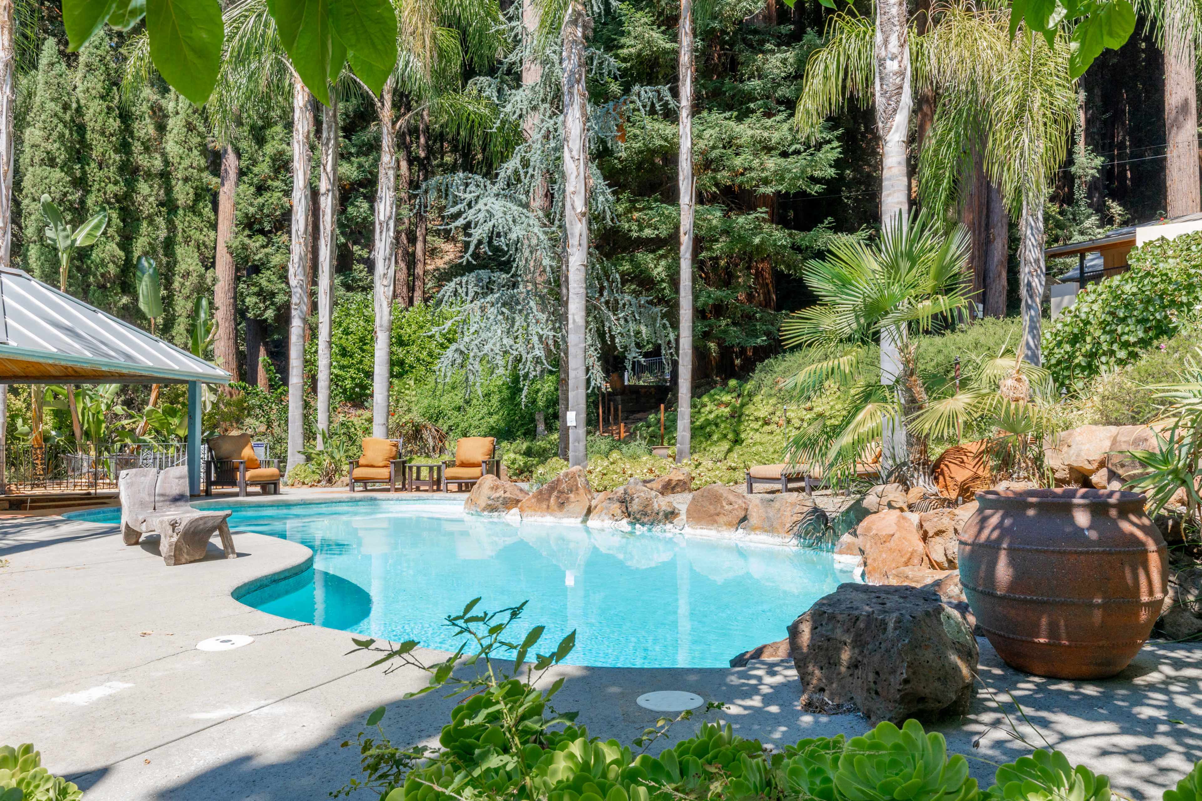 Modern Redwood Retreat with Pool Image in , los gatos, CA