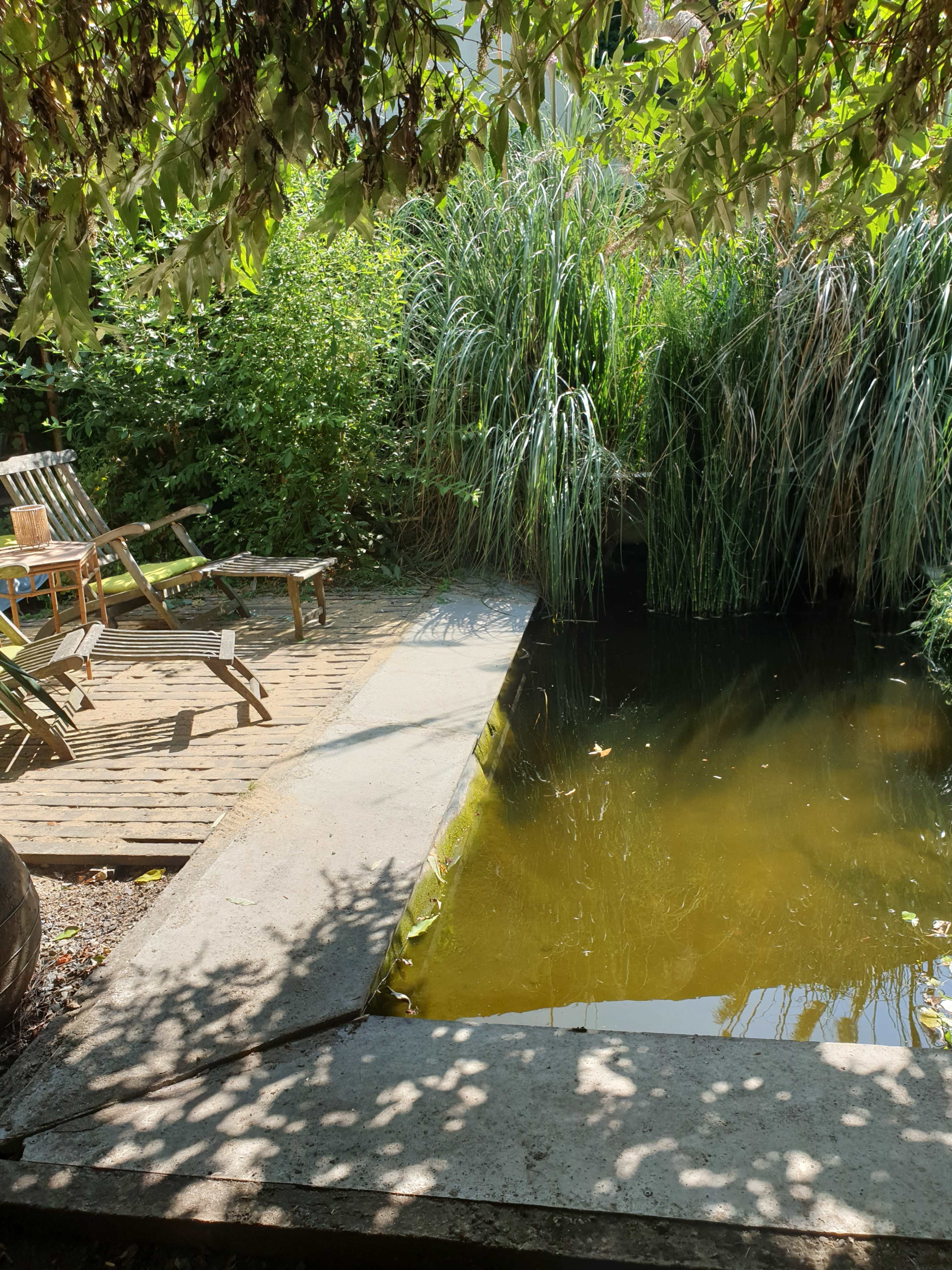 Hangar jardin esprit bohème guinguette Image in , Saint Gervais  en Belin