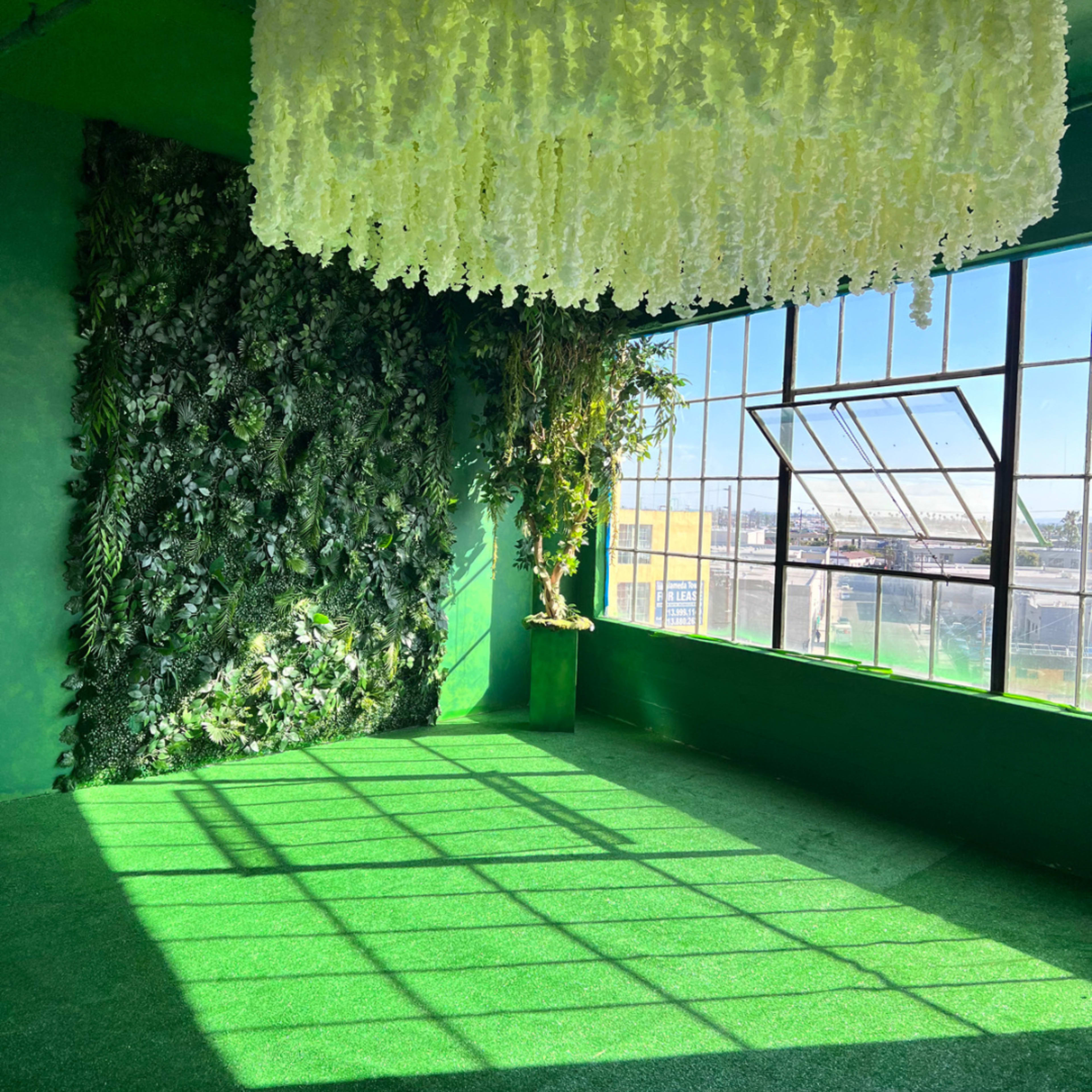 A brightly lit room with green walls and artificial foliage, featuring a large window that casts shadows on the grass-like floor.