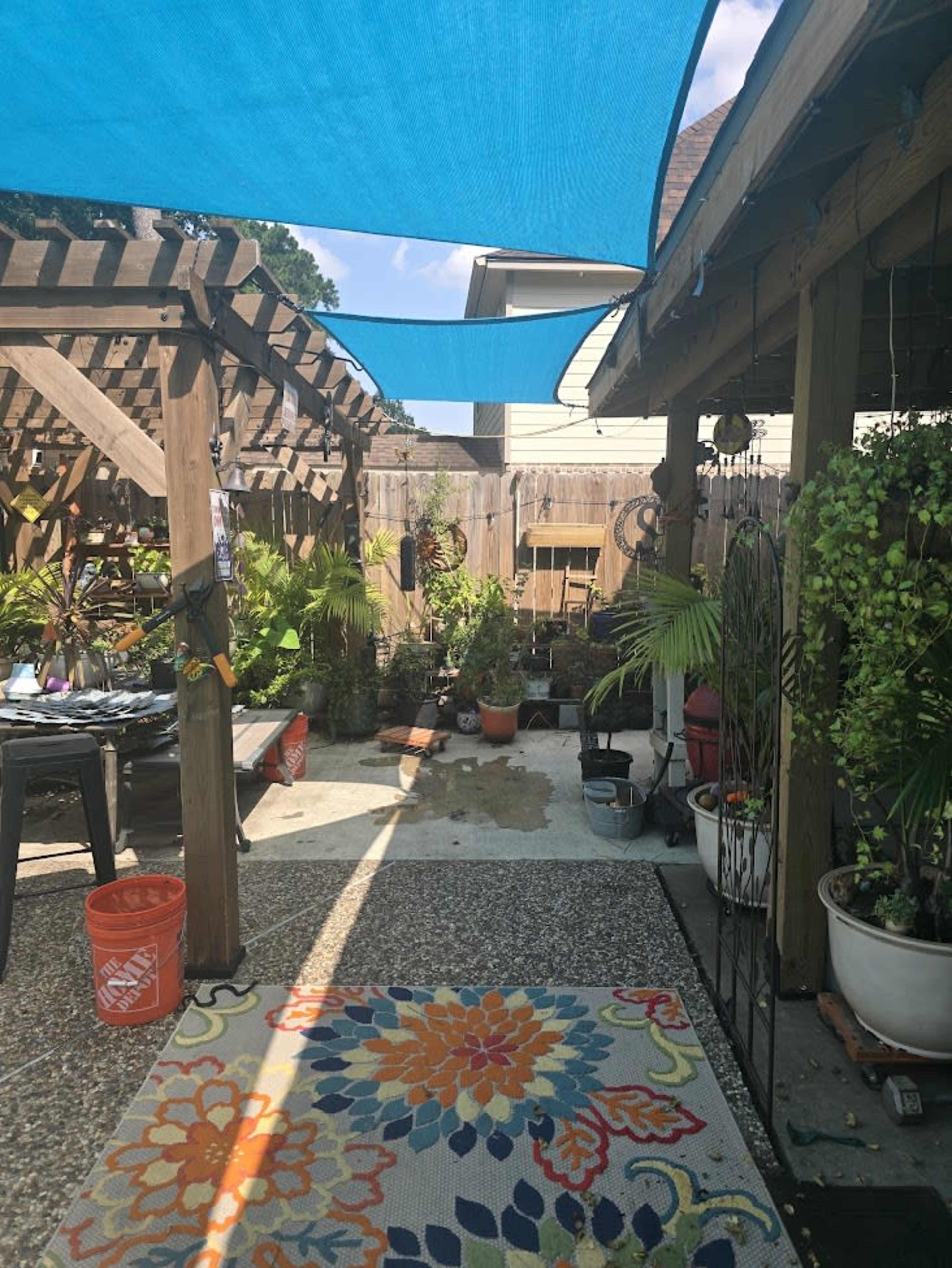The image shows a backyard garden with a blue shade sail overhead, surrounded by various potted plants and a stone pathway.