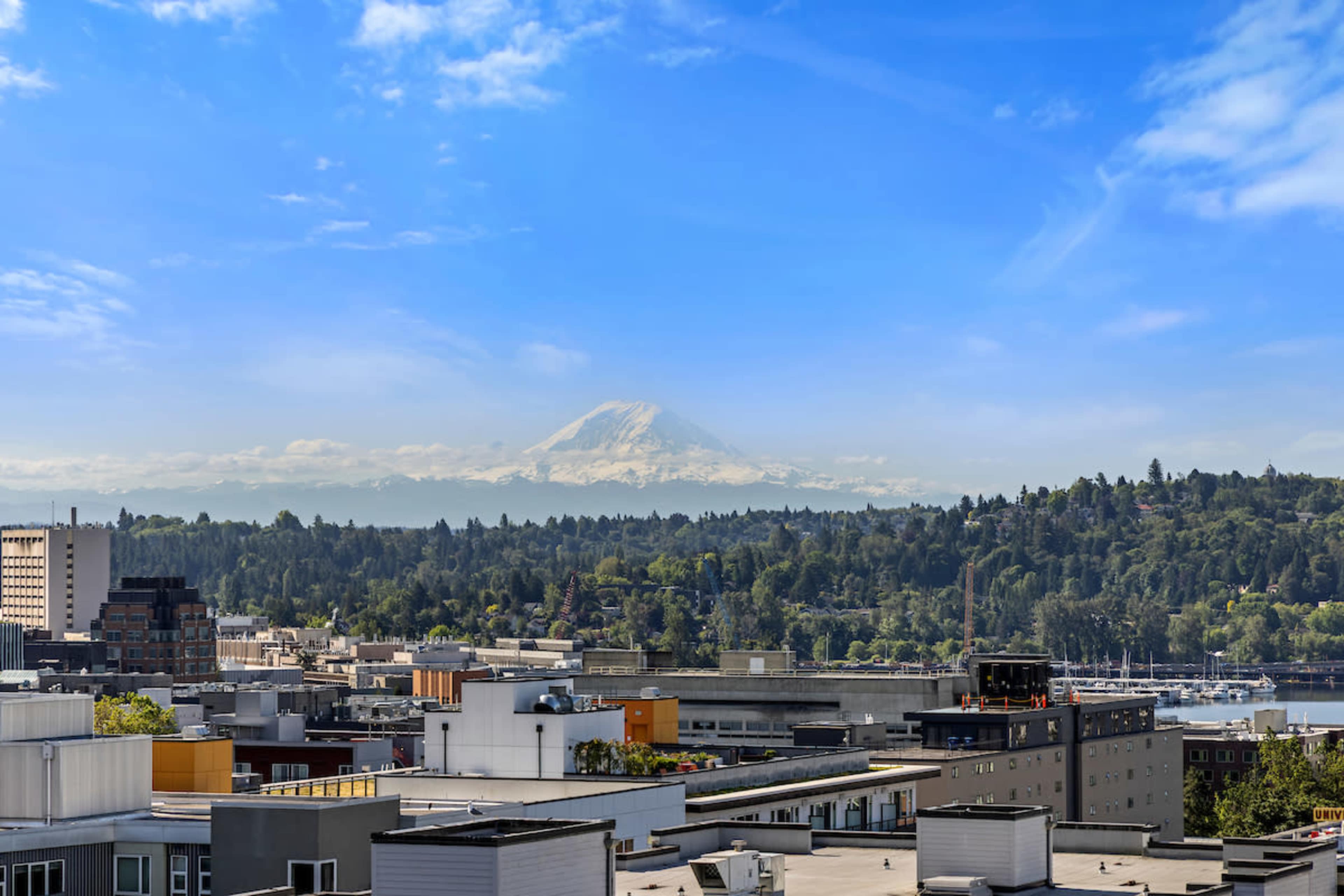 A clear view of a snow-capped mountain rises above a city skyline under a blue sky.