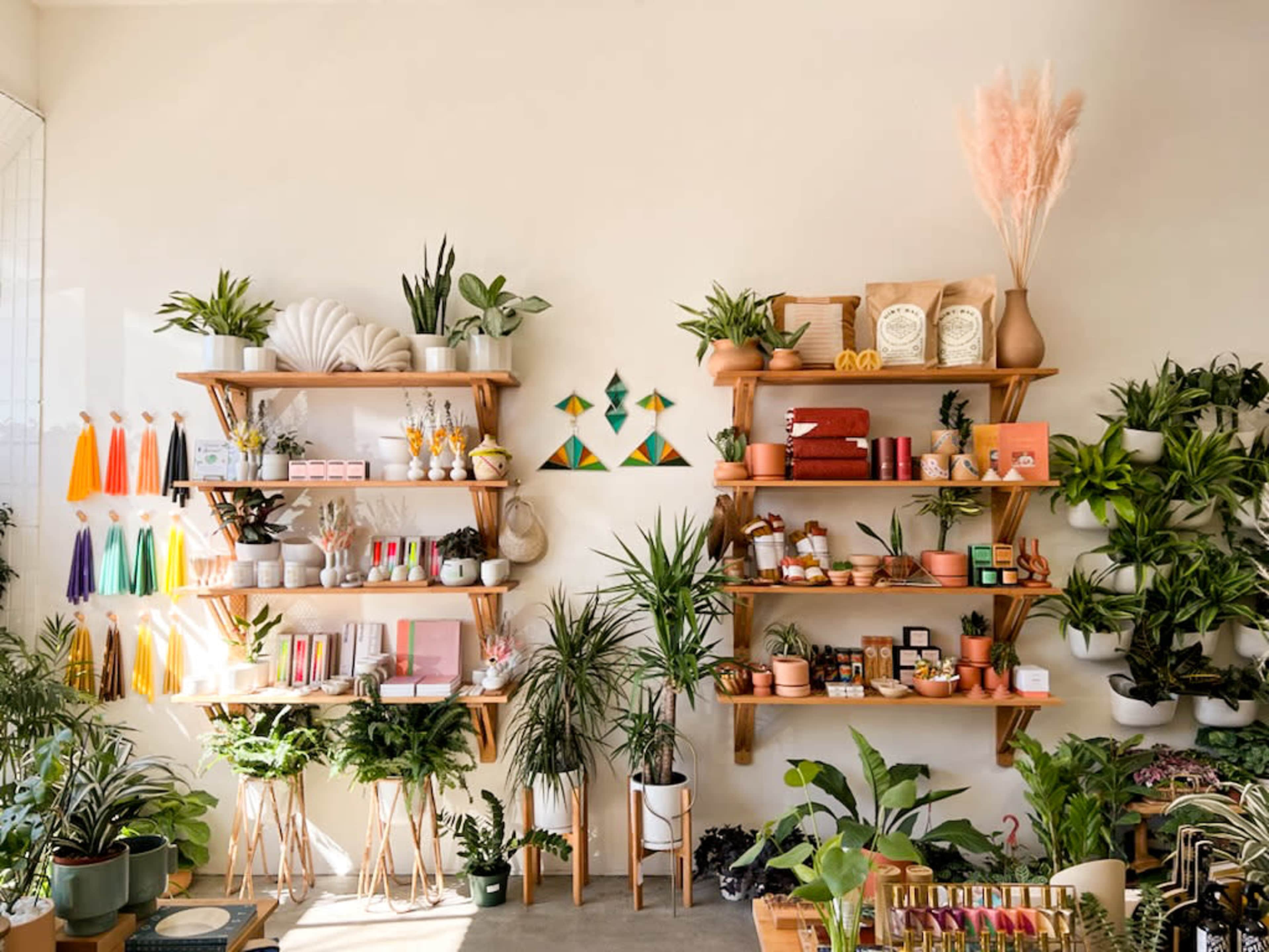 A well-organized retail space with multiple shelves displaying a variety of plants, decorative items, and craft supplies against a light-colored wall.