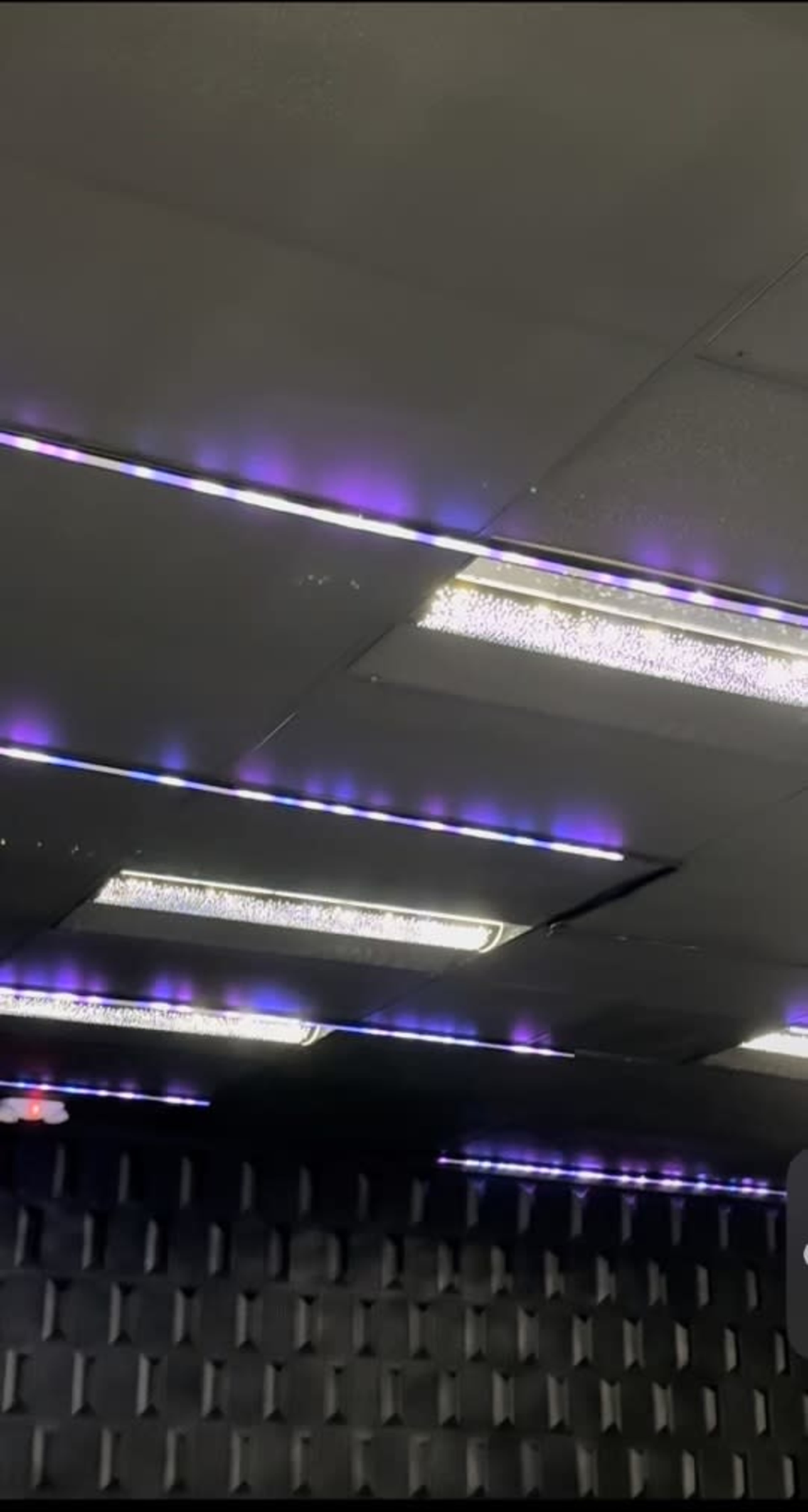 The ceiling features fluorescent lighting with purple accents above a textured black wall.