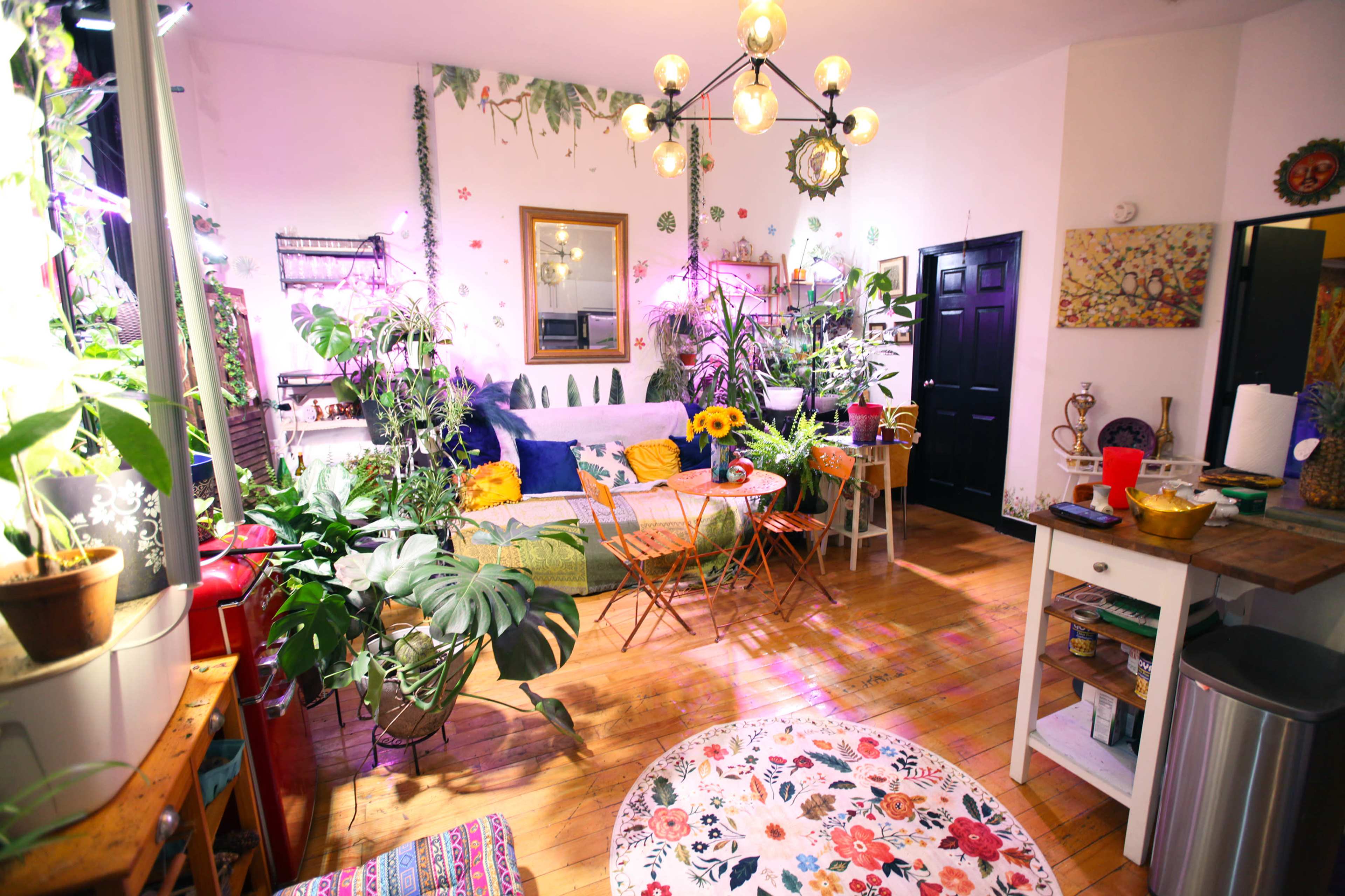 The image shows a colorful living room filled with indoor plants, a cozy seating area, and decorative art on the walls.