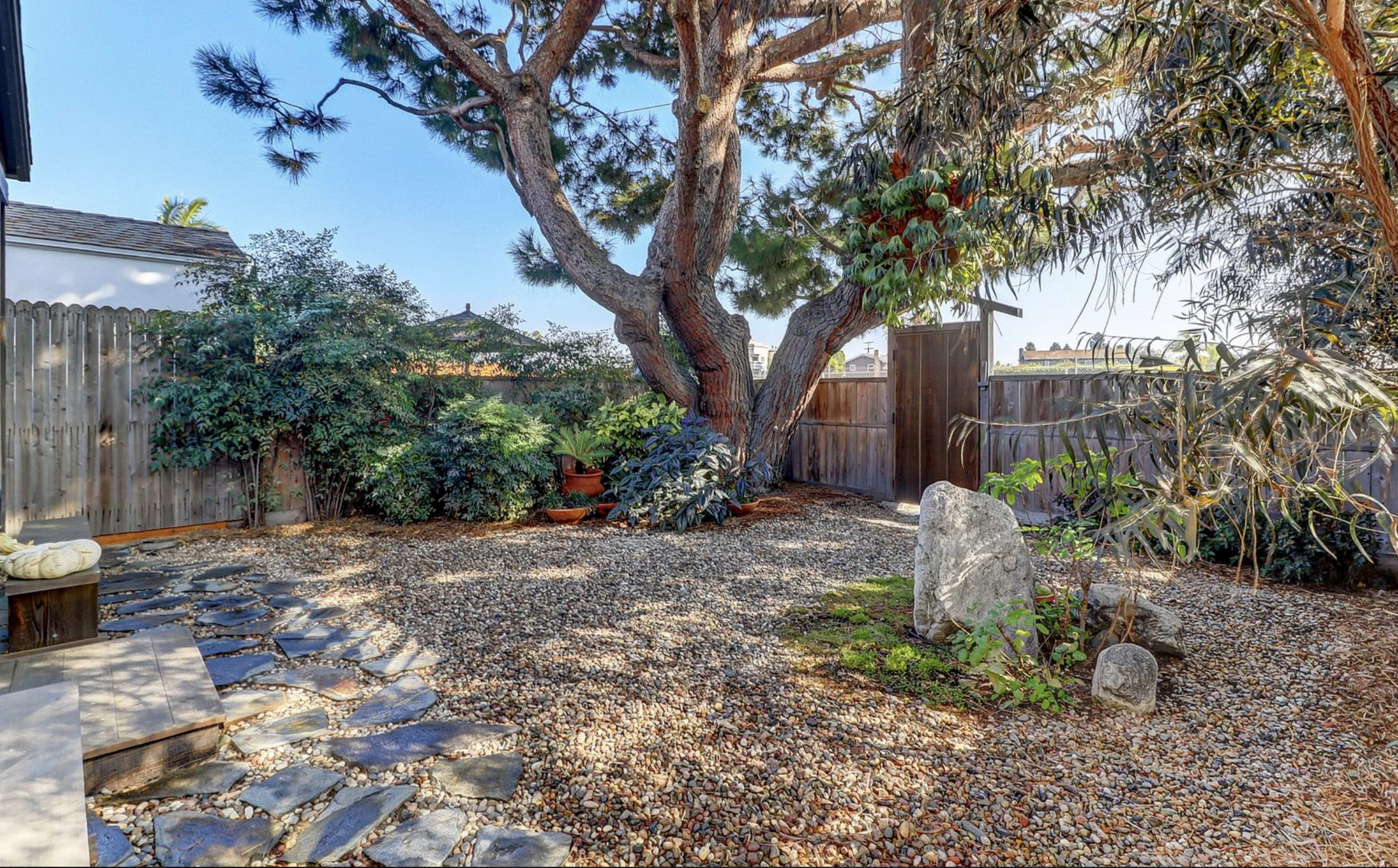 A landscaped backyard featuring a large tree, gravel ground, and a stone pathway bordered by plants and a wooden fence.
