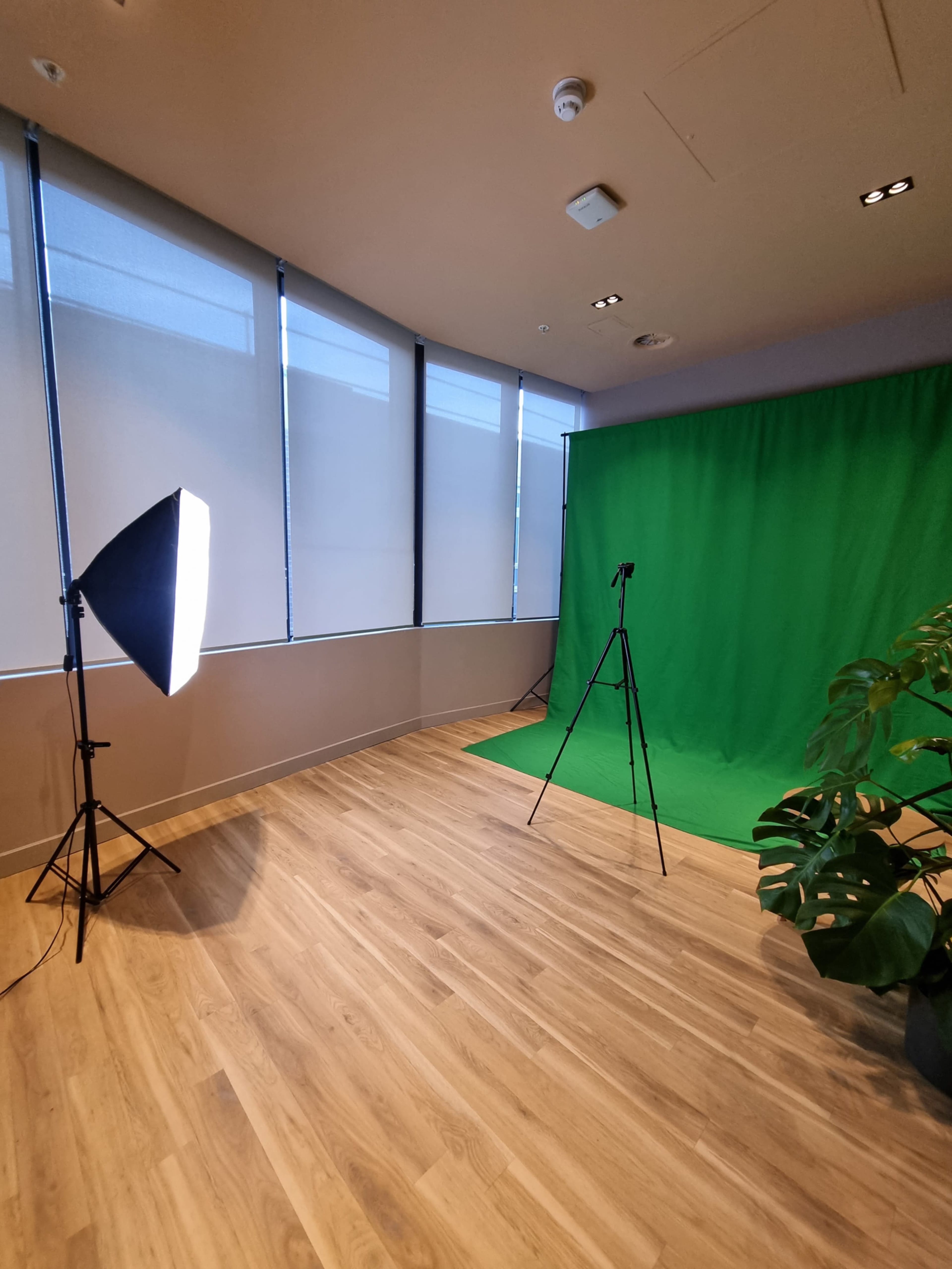 A photo studio setup featuring a green screen, tripod, and lighting equipment, with large windows letting in natural light.