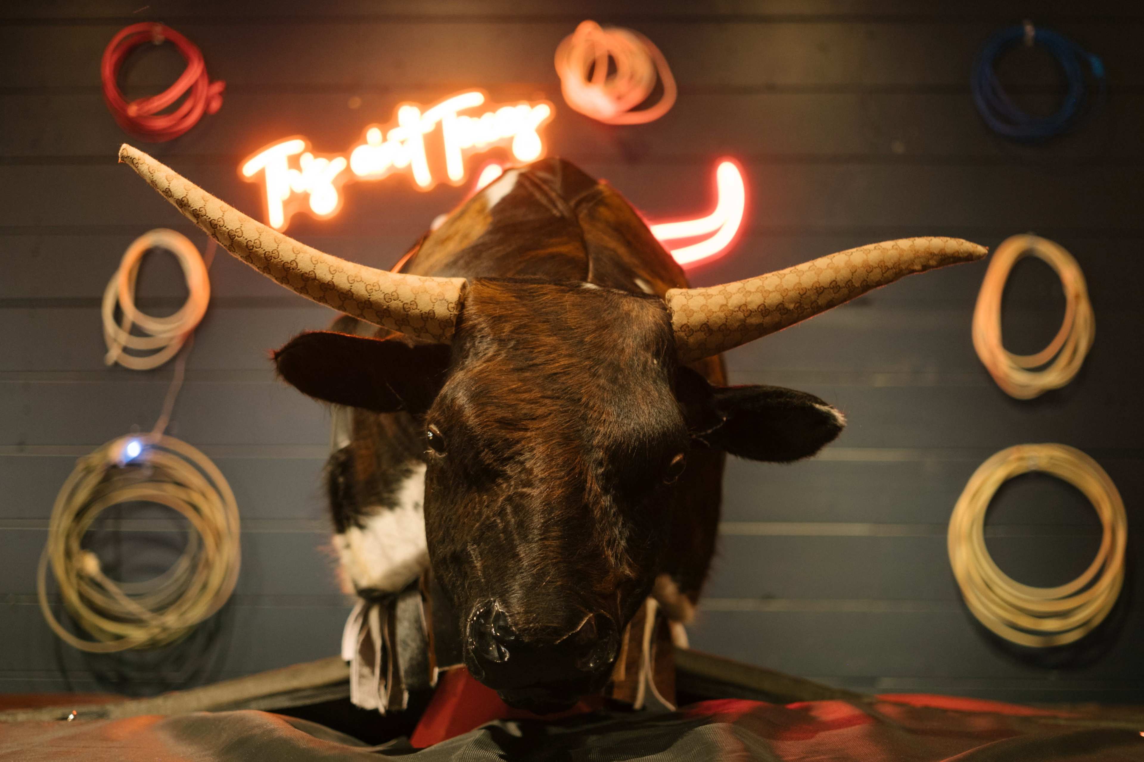 A mounted taxidermy bull with prominent horns is displayed against a dark wall adorned with colorful loops of rope and a neon sign.