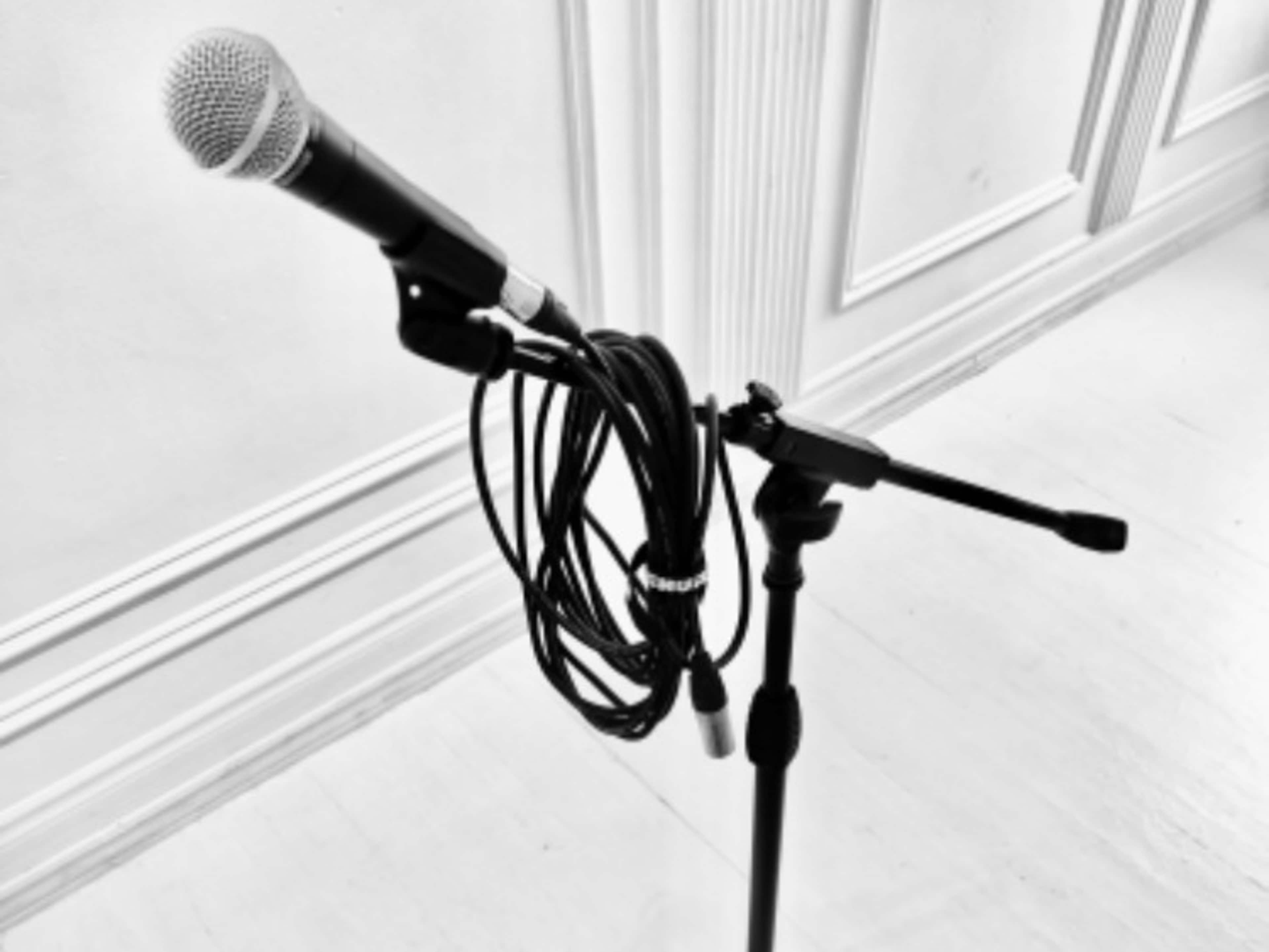 Microphone and stand 