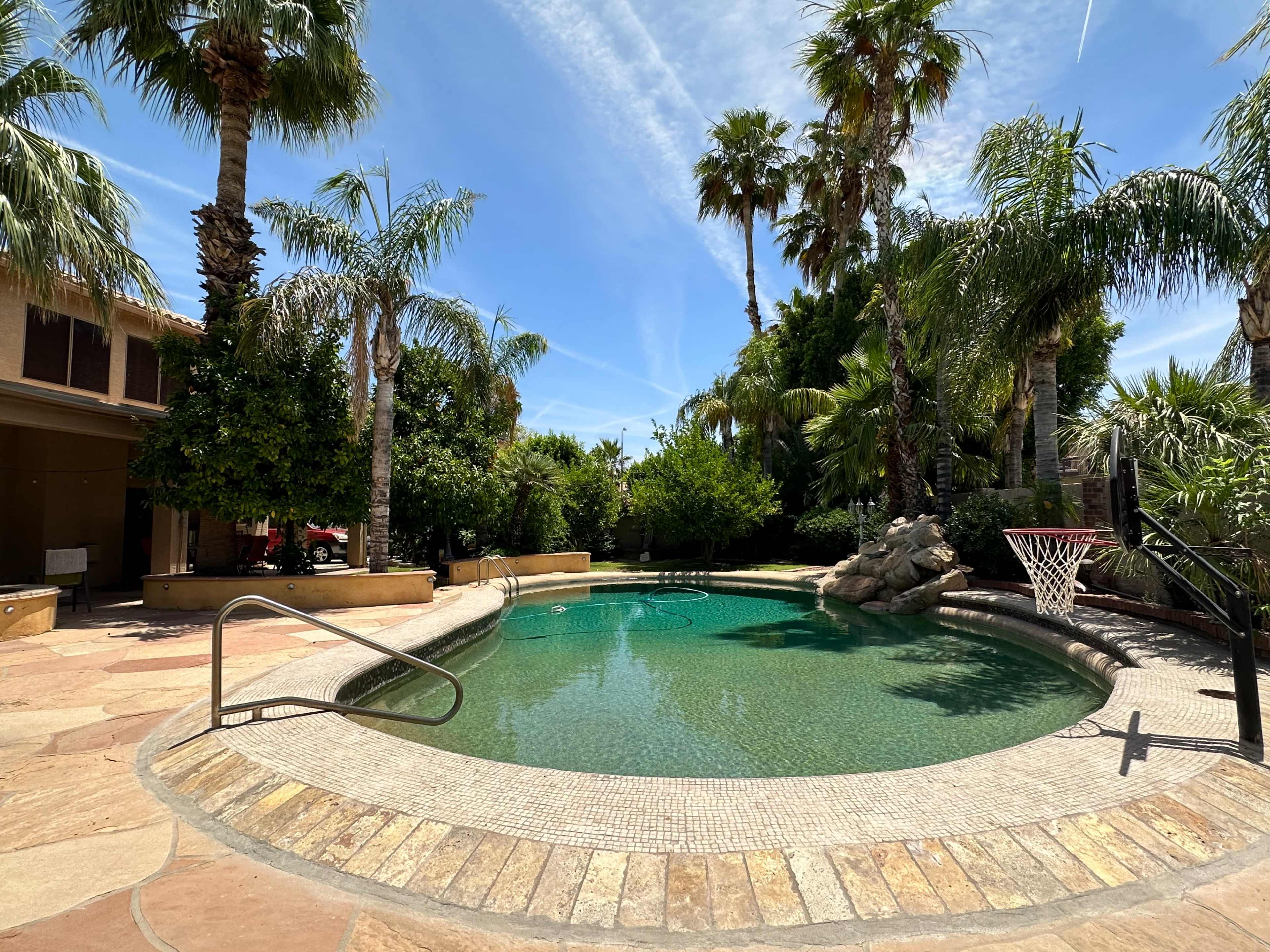 A swimming pool surrounded by palm trees and lush greenery, with a basketball hoop in the background.