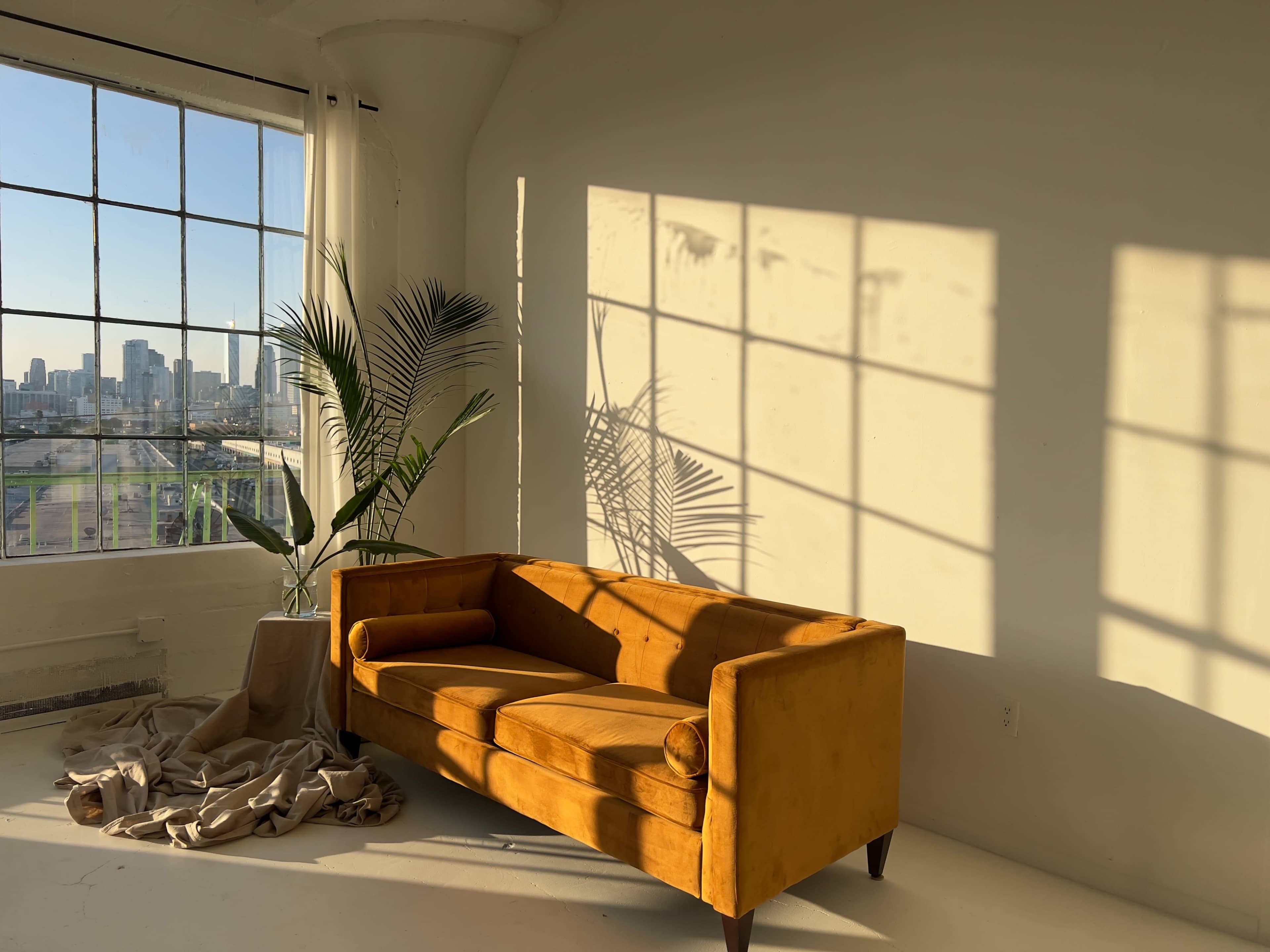 A yellow sofa sits in a bright room with large windows, casting shadows on the wall, while a palm plant is placed nearby.