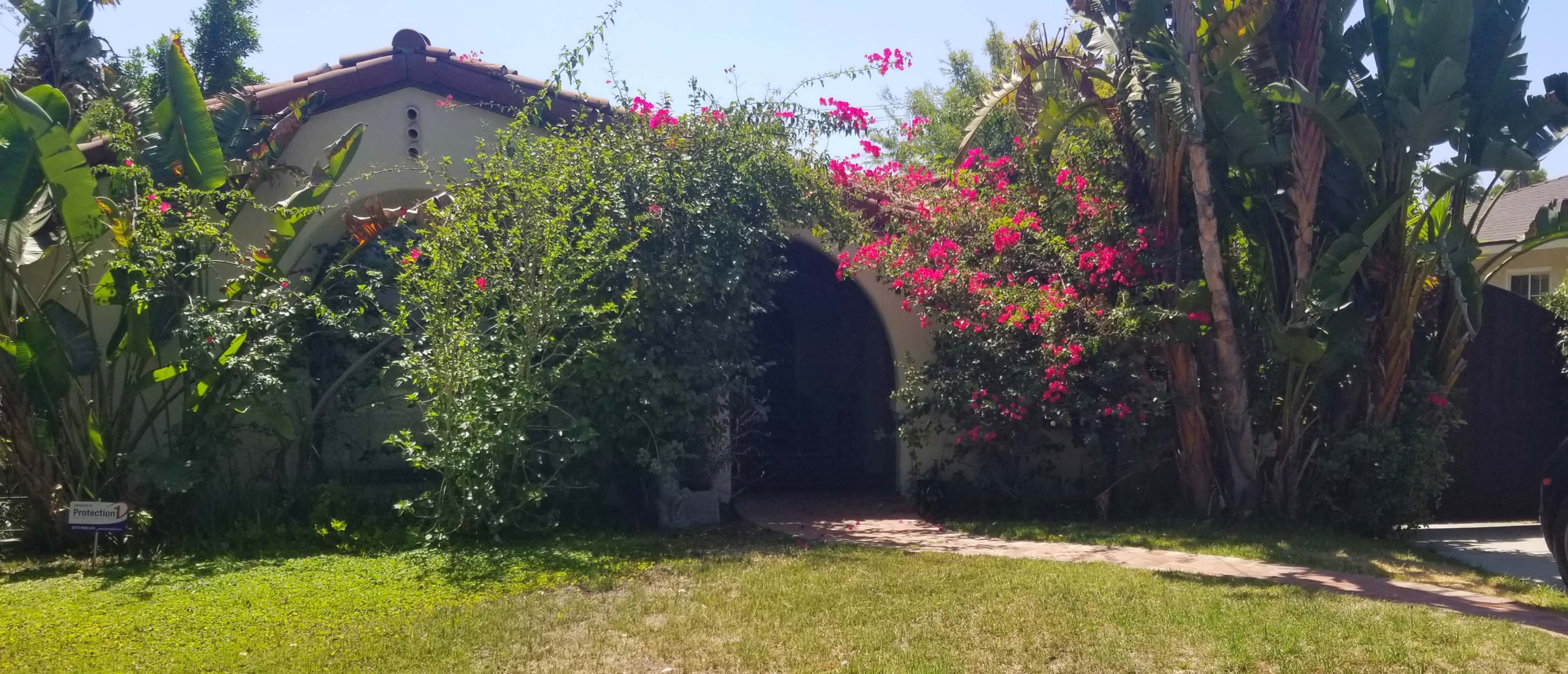 A house with a garden surrounded by lush greenery and flowering bougainvillea is depicted.